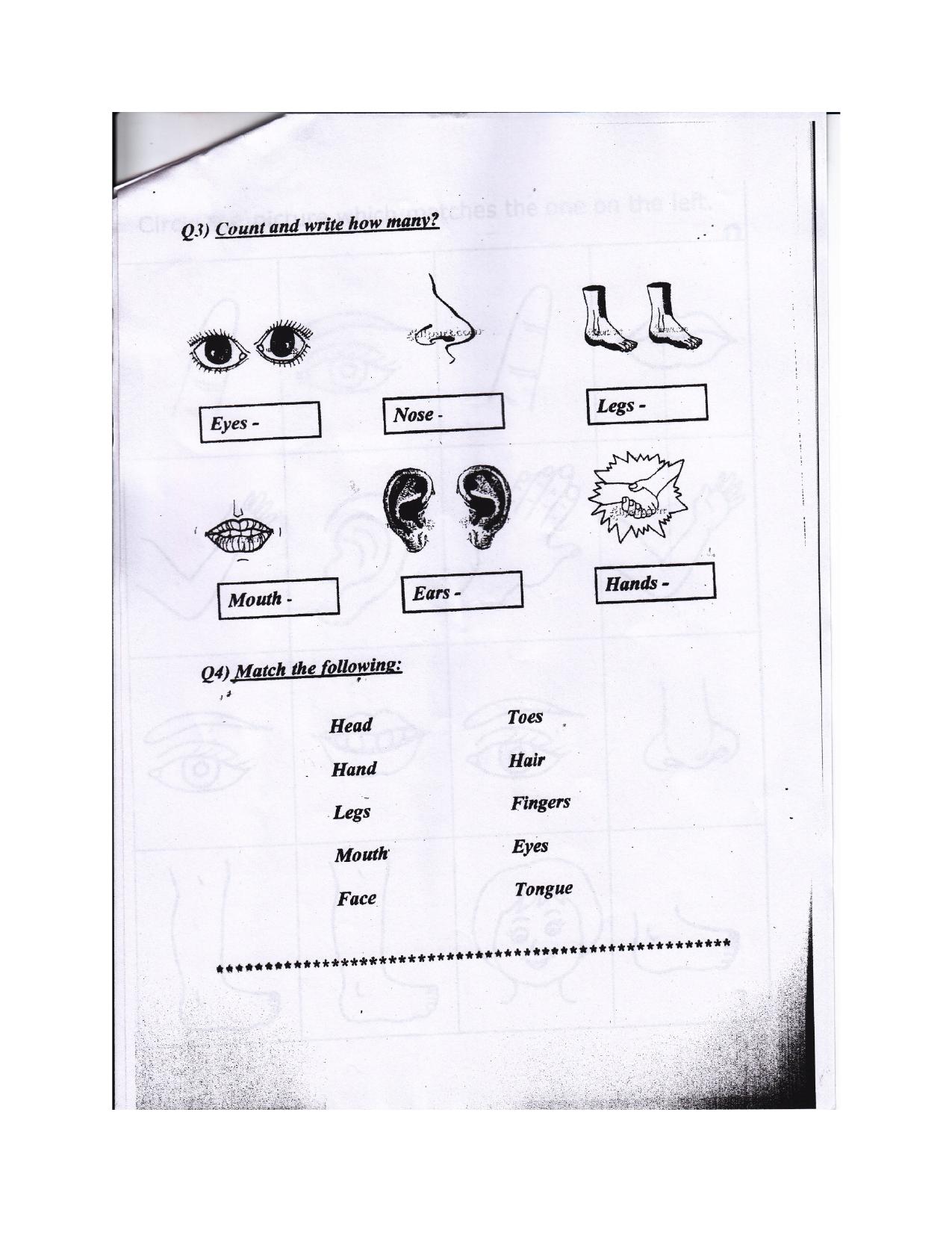 Worksheet for Class 1 EVS Our Body and Cleanliness Assignment 2 - Page 2