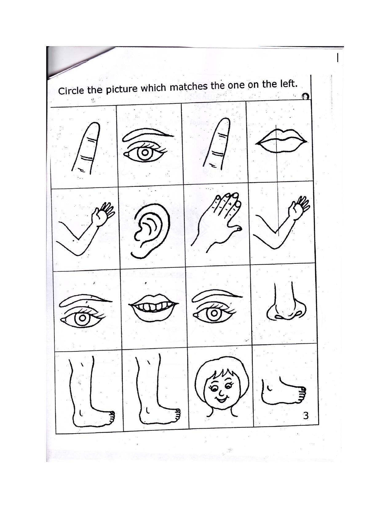 Worksheet for Class 1 EVS Our Body and Cleanliness Assignment 2 - Page 3