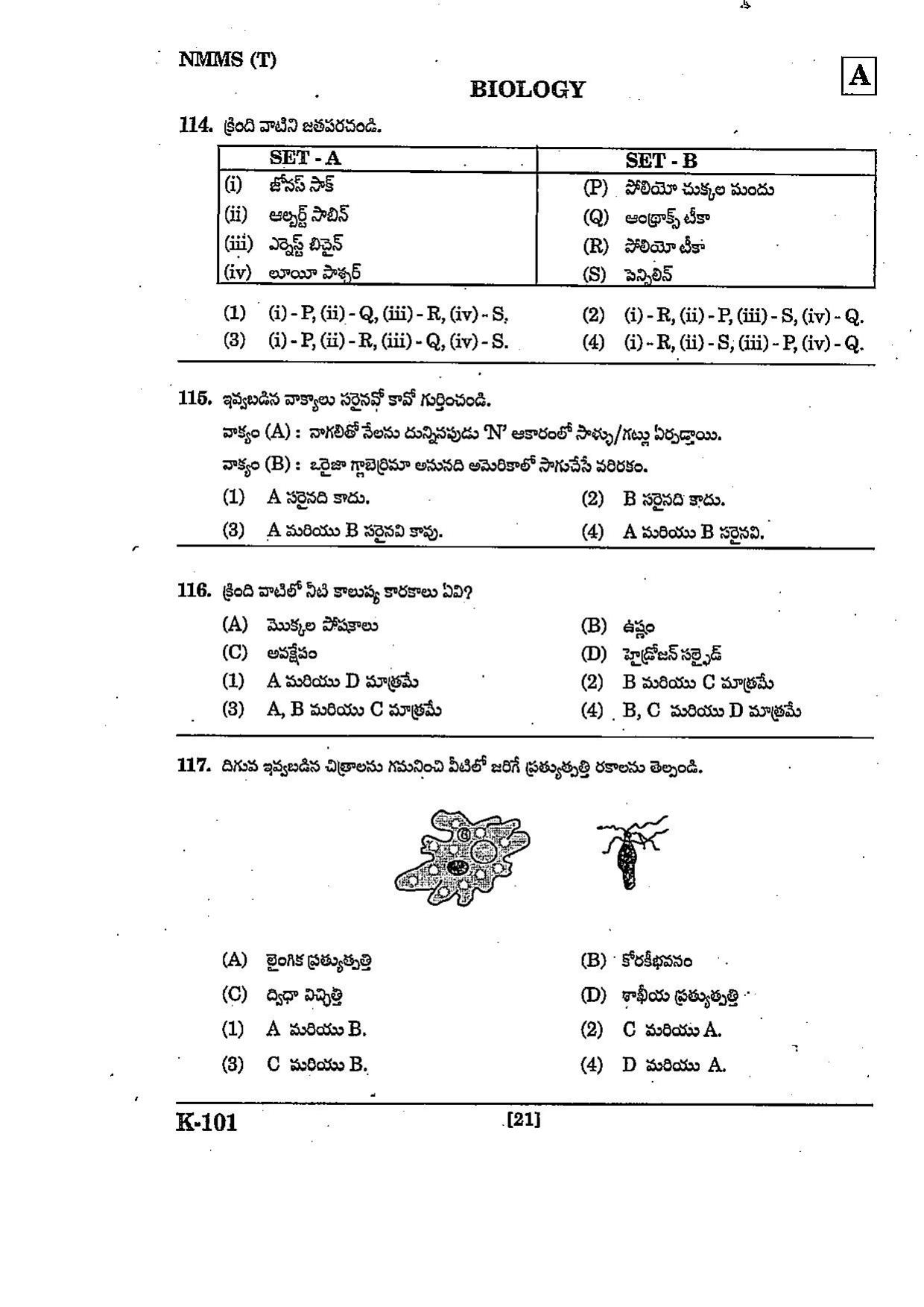 NMMS Question Papers March 2022 (Telugu Medium) - Page 21