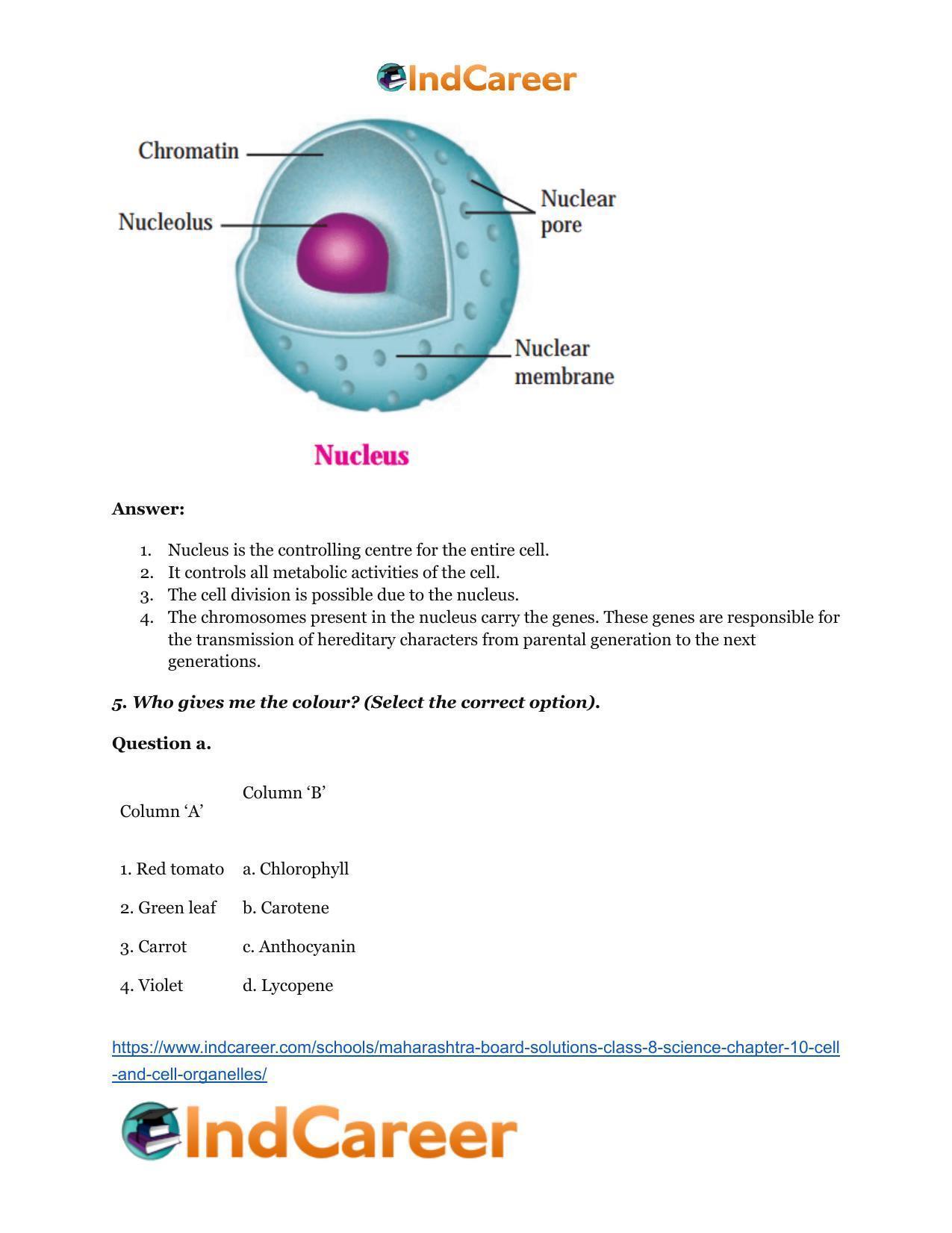 Maharashtra Board Solutions Class 8-Science: Chapter 10- Cell and Cell Organelles - Page 8