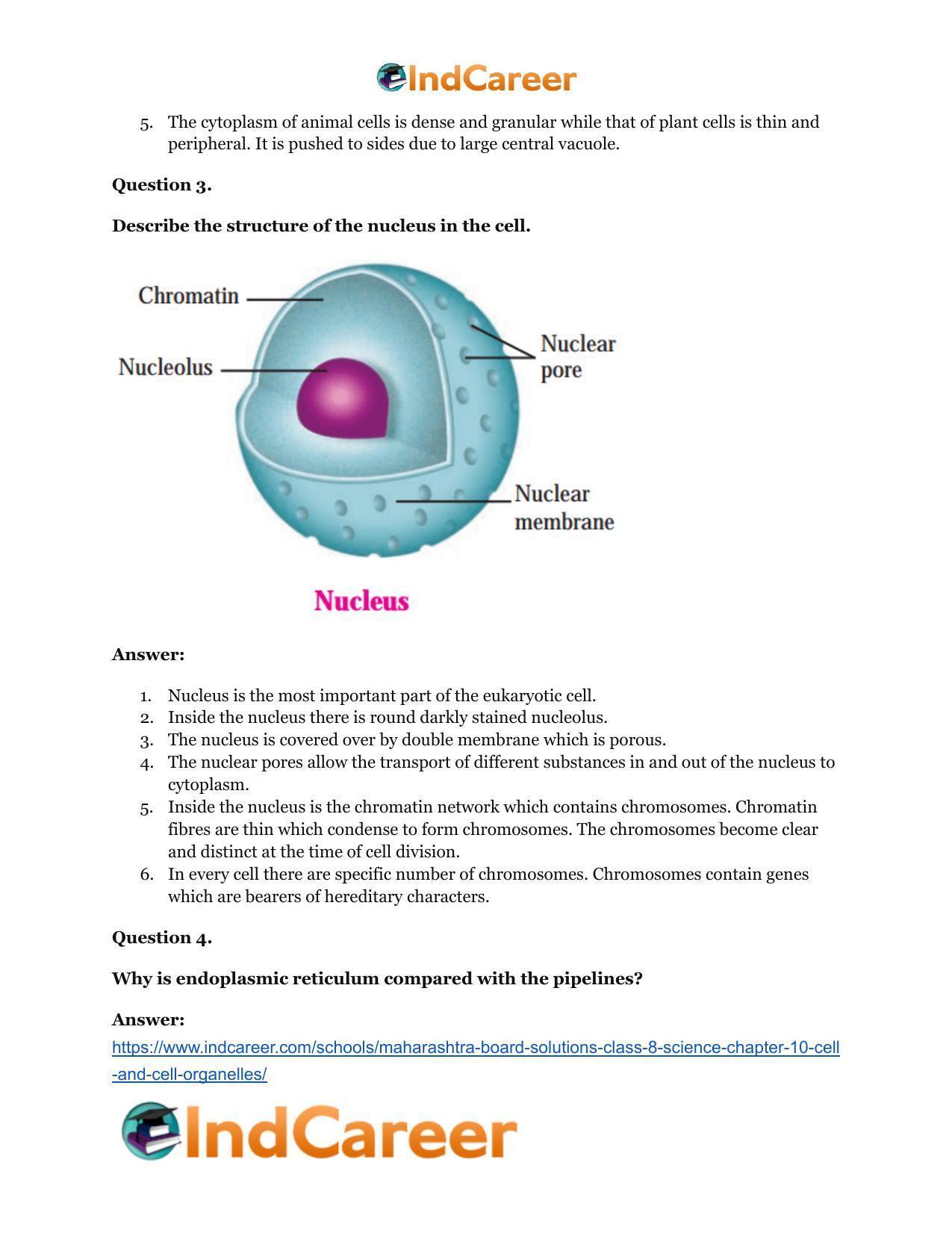Maharashtra Board Solutions Class 8-Science: Chapter 10- Cell and Cell Organelles - Page 21