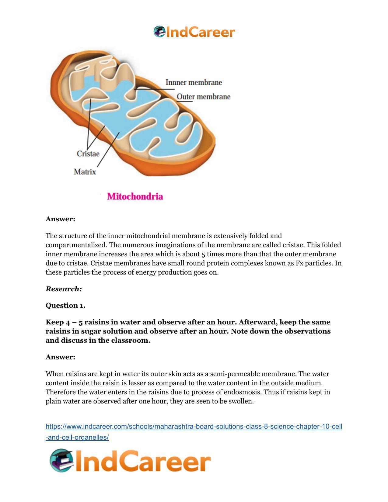 Maharashtra Board Solutions Class 8-Science: Chapter 10- Cell and Cell Organelles - Page 23