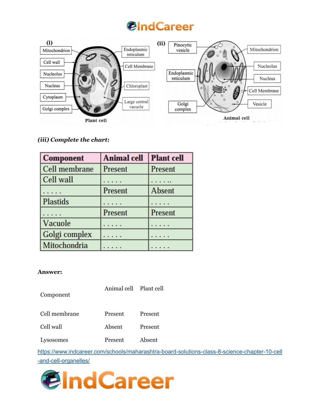 Maharashtra Board Solutions Class 8-Science: Chapter 10- Cell and Cell Organelles - Page 25