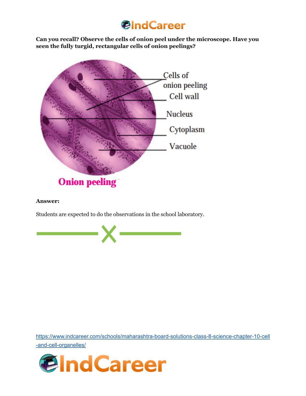 Maharashtra Board Solutions Class 8-Science: Chapter 10- Cell and Cell Organelles - Page 28