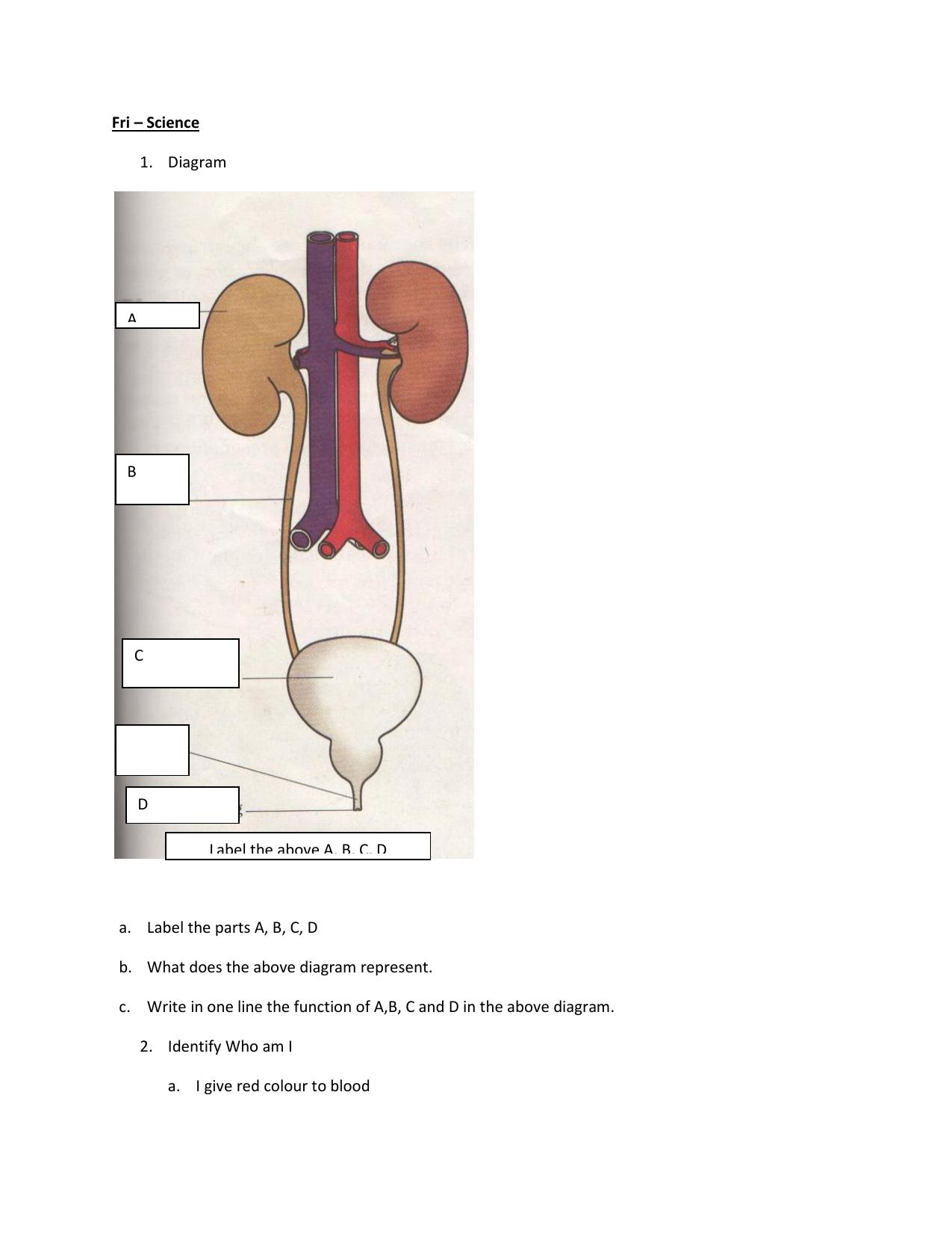 CBSE Worksheets for Class 7 Science Assignment 11 - Page 1