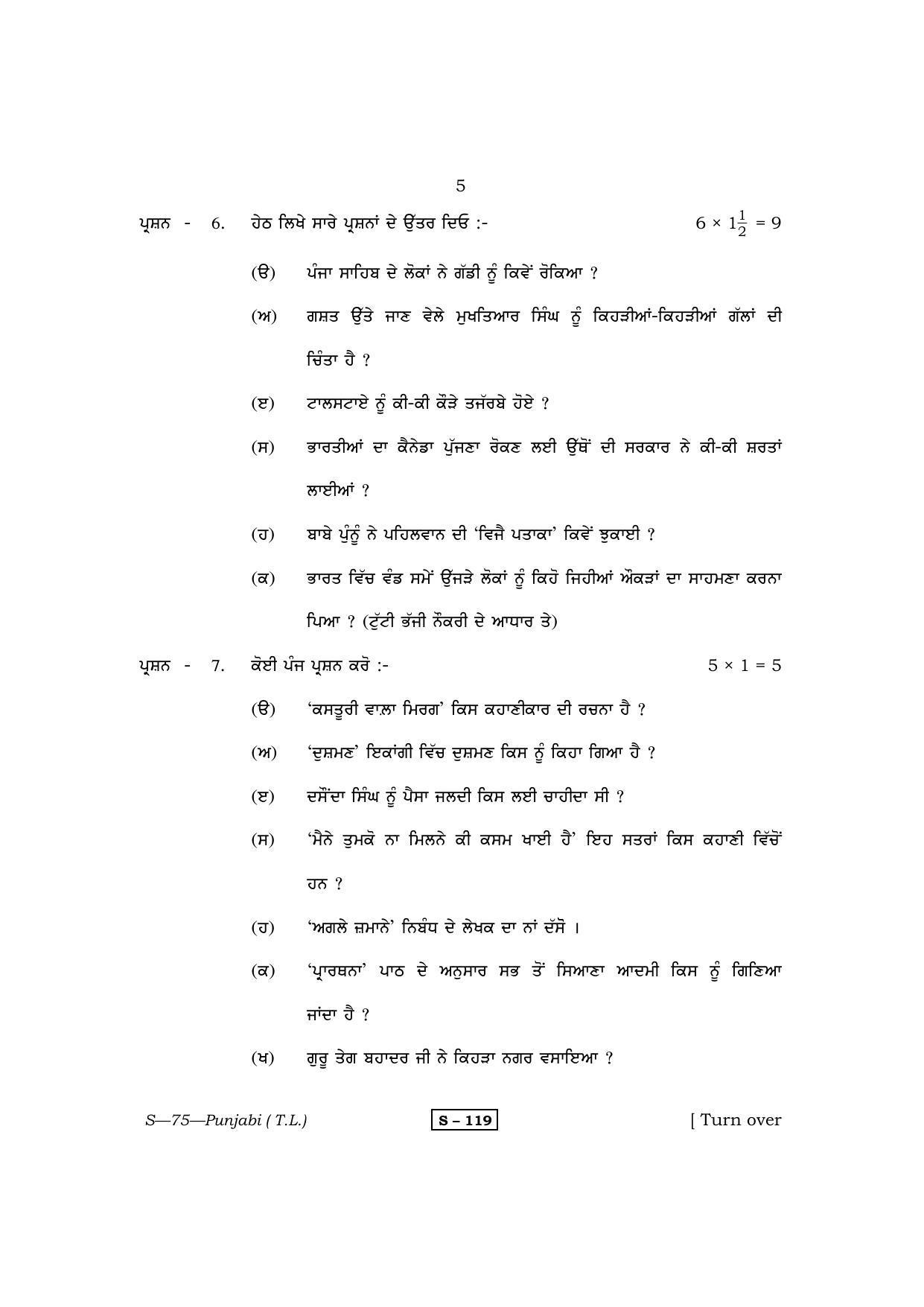 RBSE Class 10 Punjabi (T.L.) 2013 Question Paper - Page 5