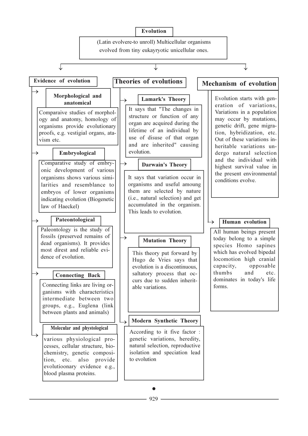 GSEB HSC Biology Question Paper (English Medium)- Chapter 40 - Page 20