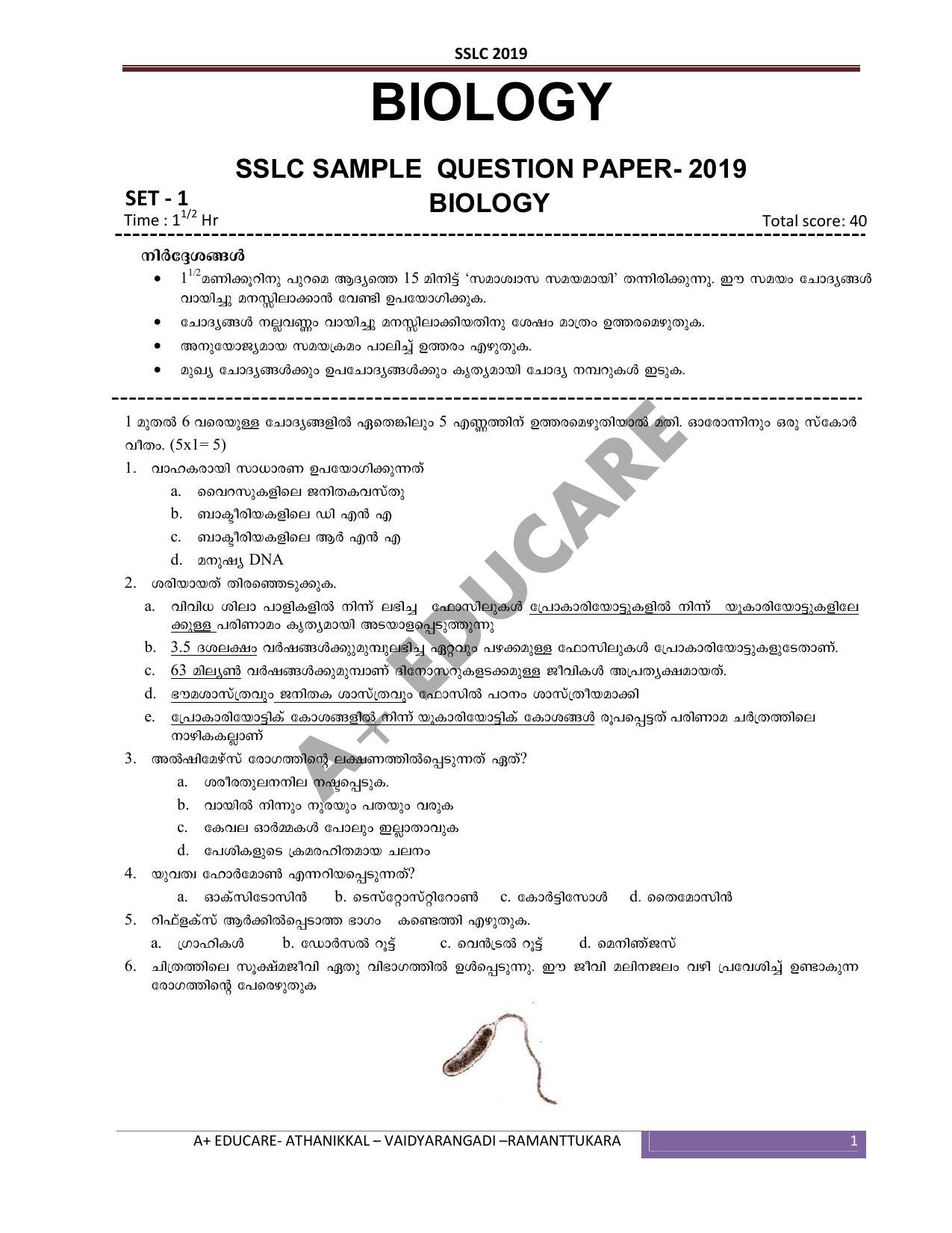 Kerala SSLC 2019 Biology Question Papers (MM) - Page 1