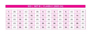 SOF IEO Class 3 SET B 2023-24 Answer Key