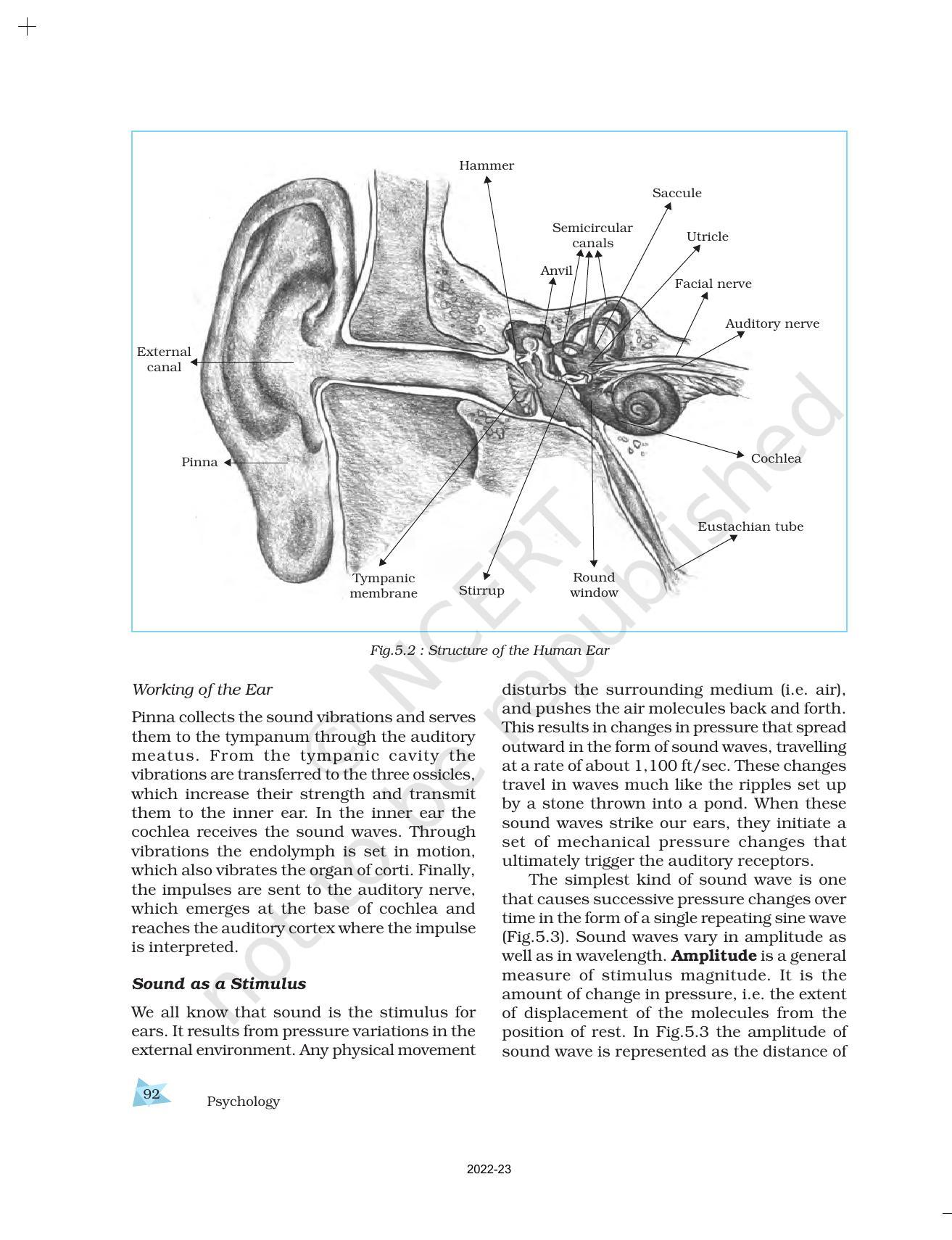 NCERT Book for Class 11 Psychology Chapter 5 Sensory, Attentional, and Perceptual Processes - Page 9