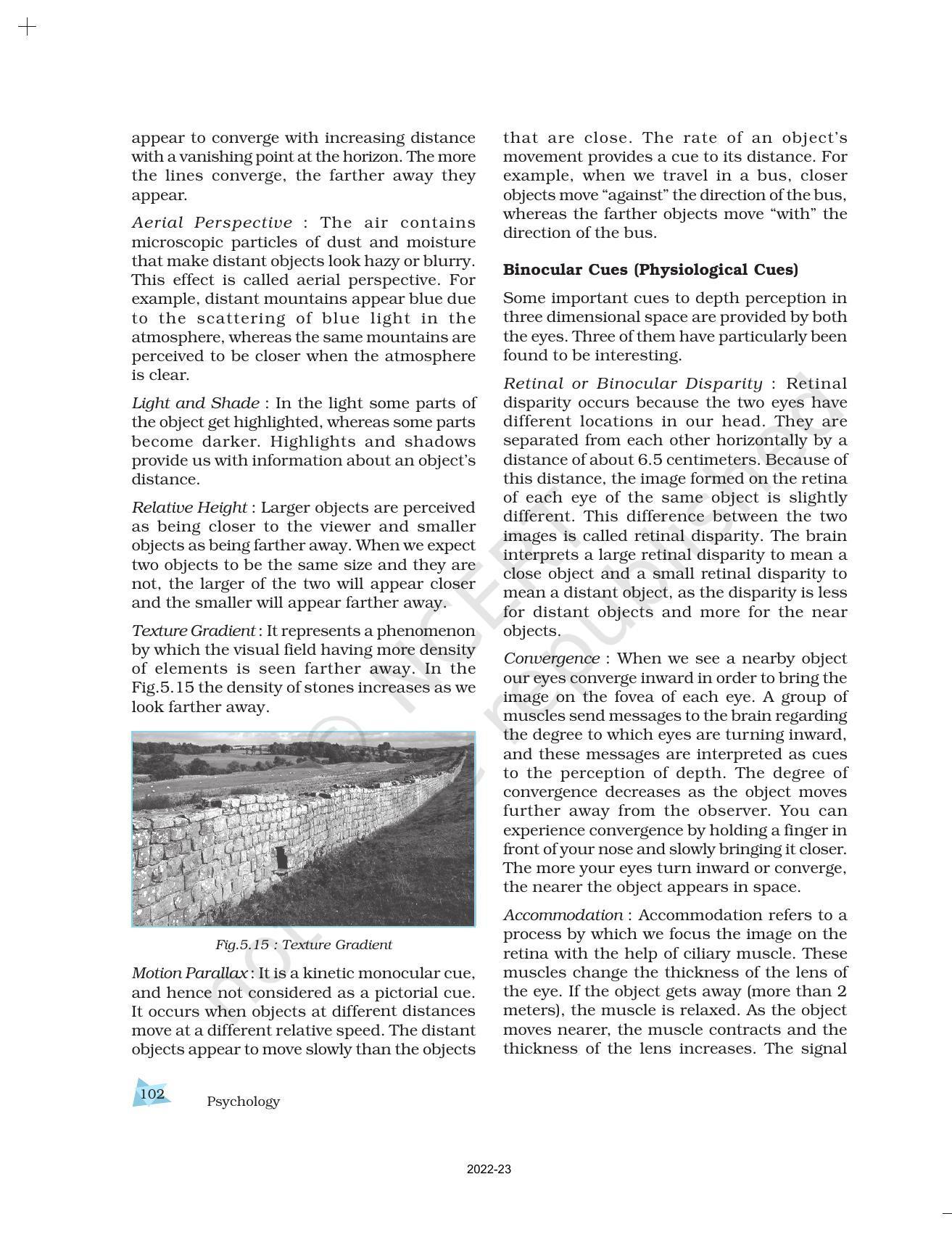NCERT Book for Class 11 Psychology Chapter 5 Sensory, Attentional, and Perceptual Processes - Page 19