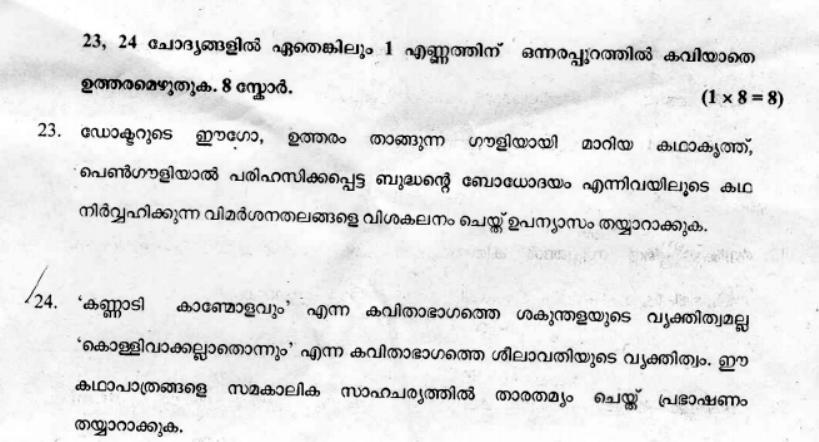 Kerala Plus Two 2019 Malayalam Question Papers - Page 7