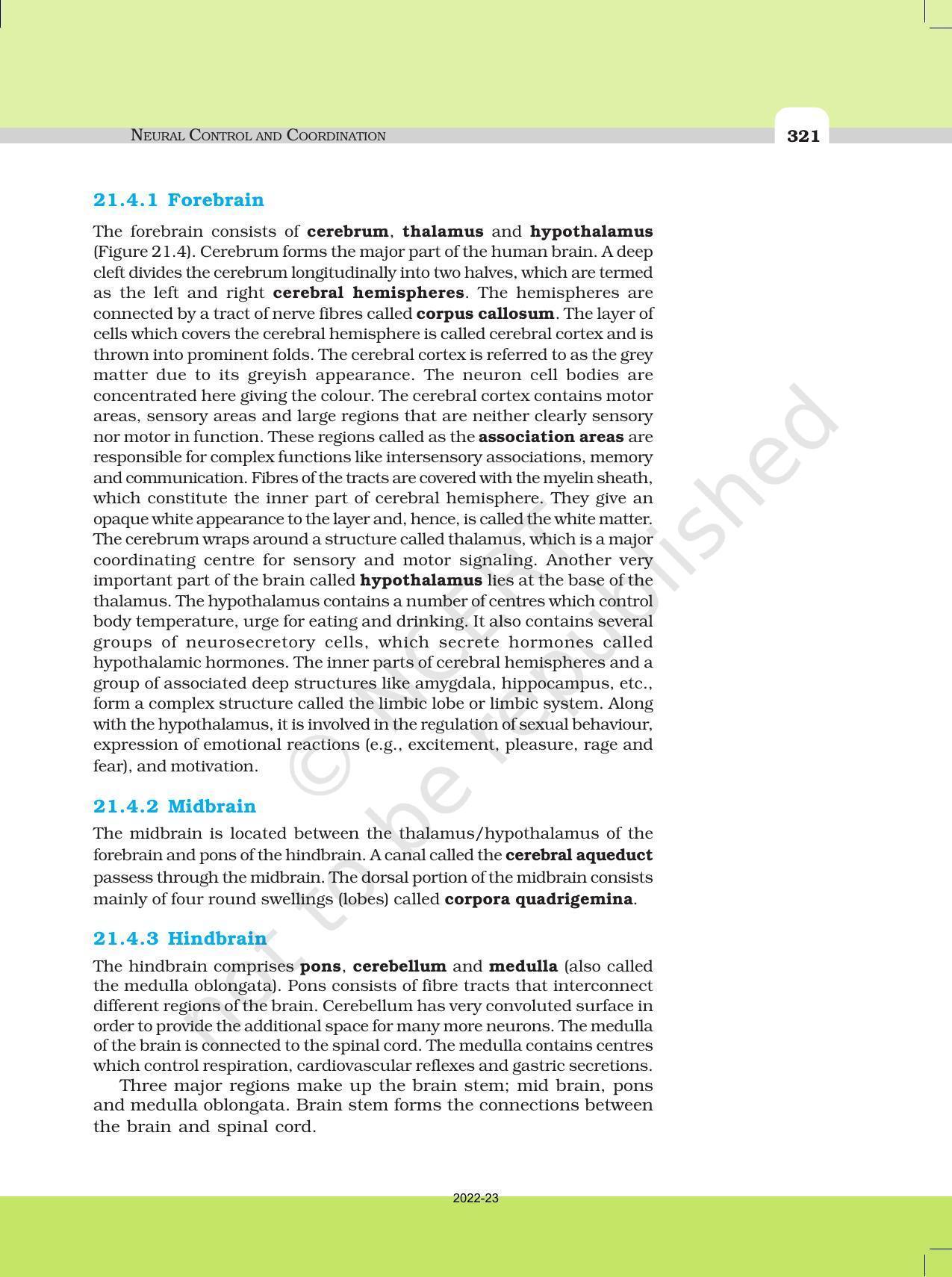 NCERT Book for Class 11 Biology Chapter 21 Neural Control and Coordination - Page 7