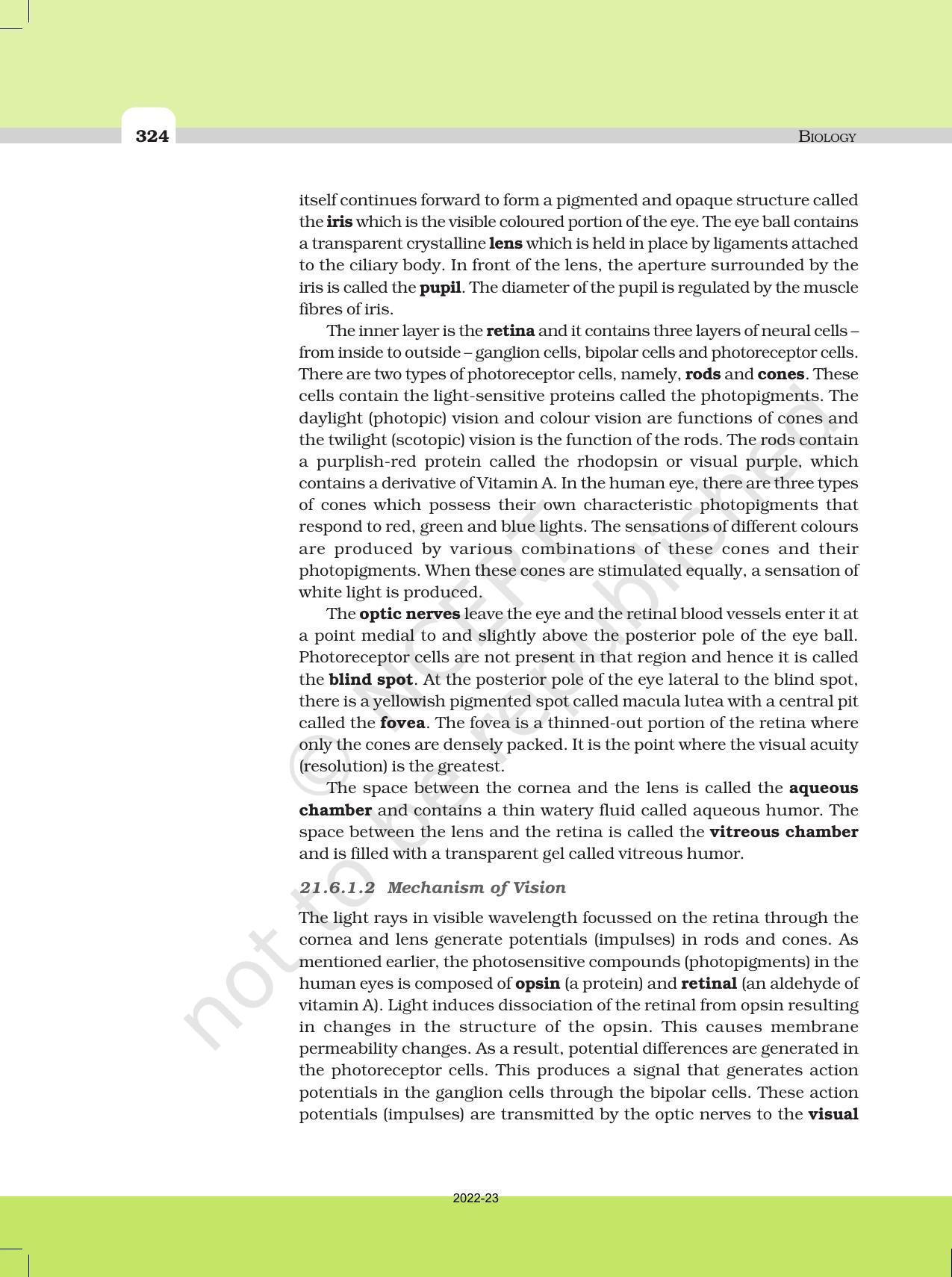 NCERT Book for Class 11 Biology Chapter 21 Neural Control and Coordination - Page 10