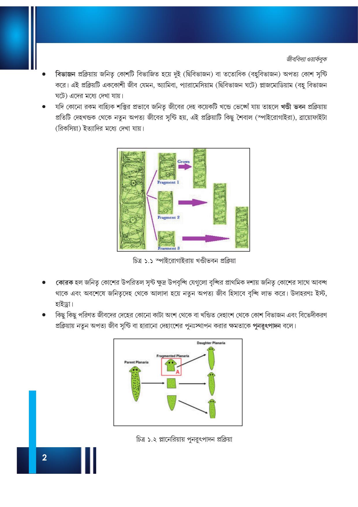Tripura Board Class 12 Biology Bengali Workbooks - Page 8