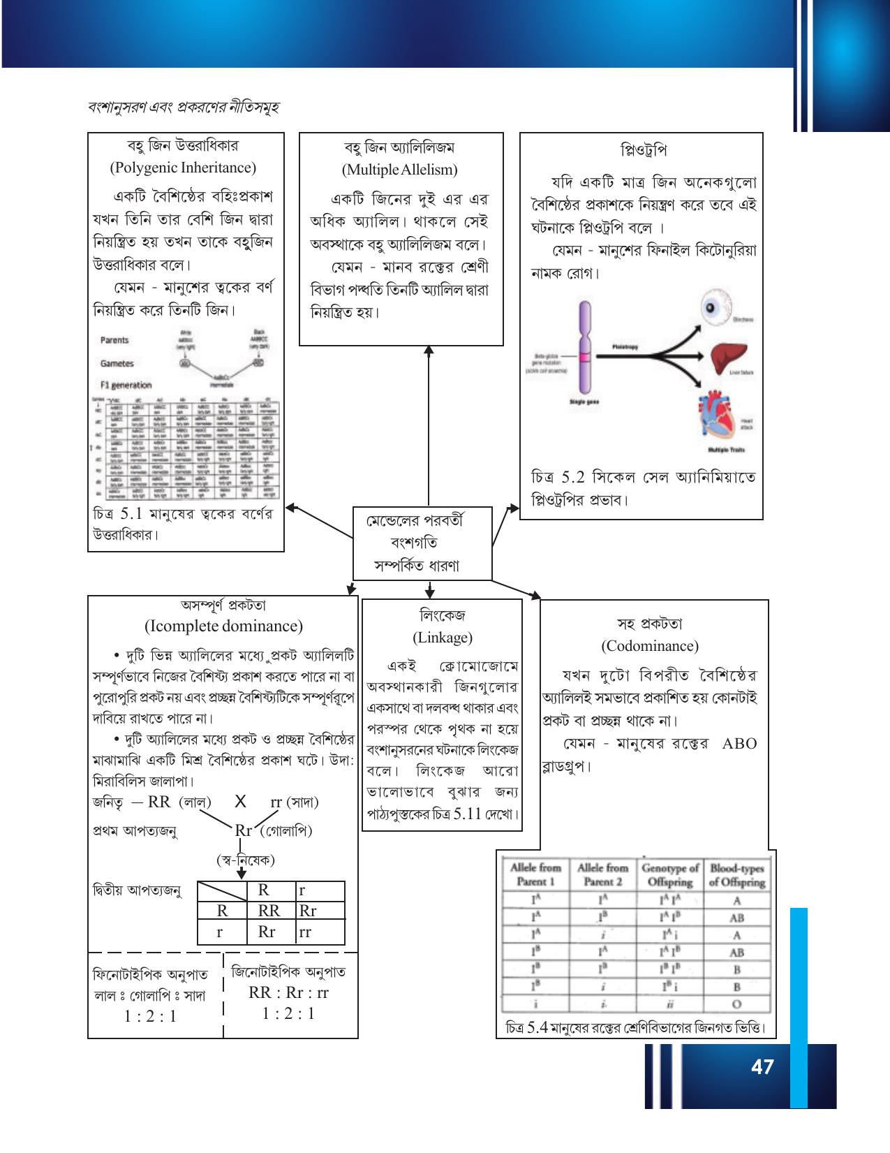 Tripura Board Class 12 Biology Bengali Workbooks - Page 53