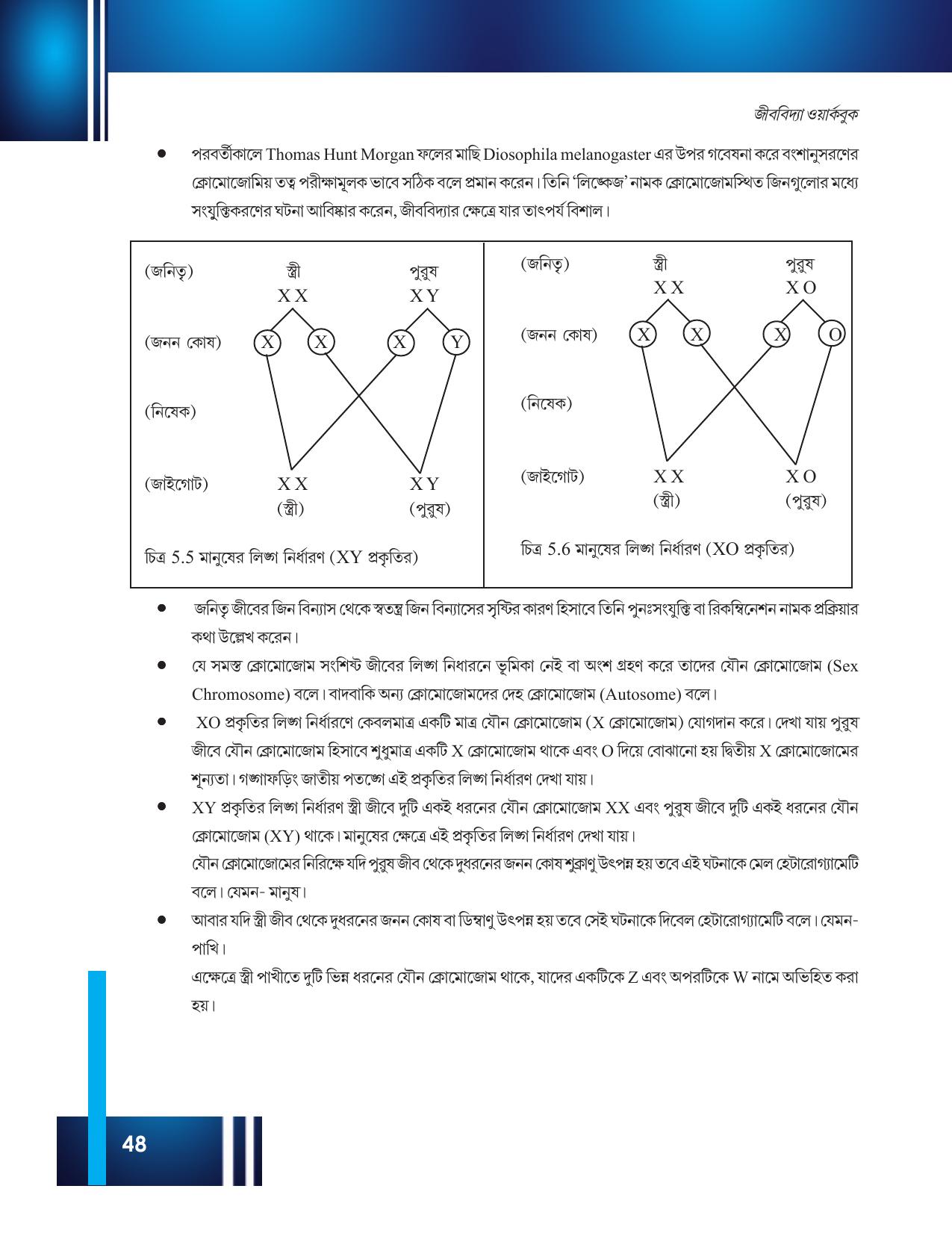 Tripura Board Class 12 Biology Bengali Workbooks - Page 54