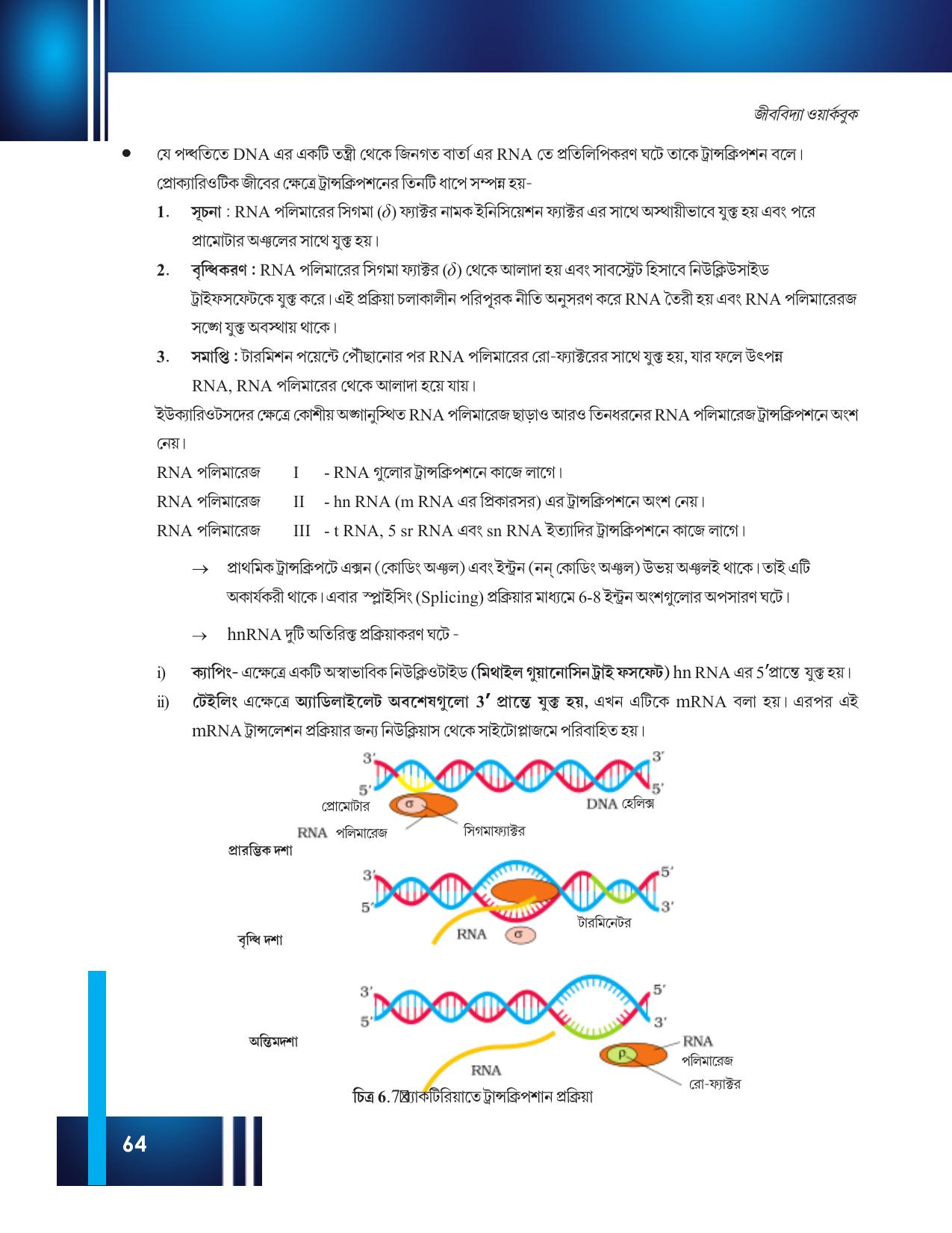 Tripura Board Class 12 Biology Bengali Workbooks - Page 70