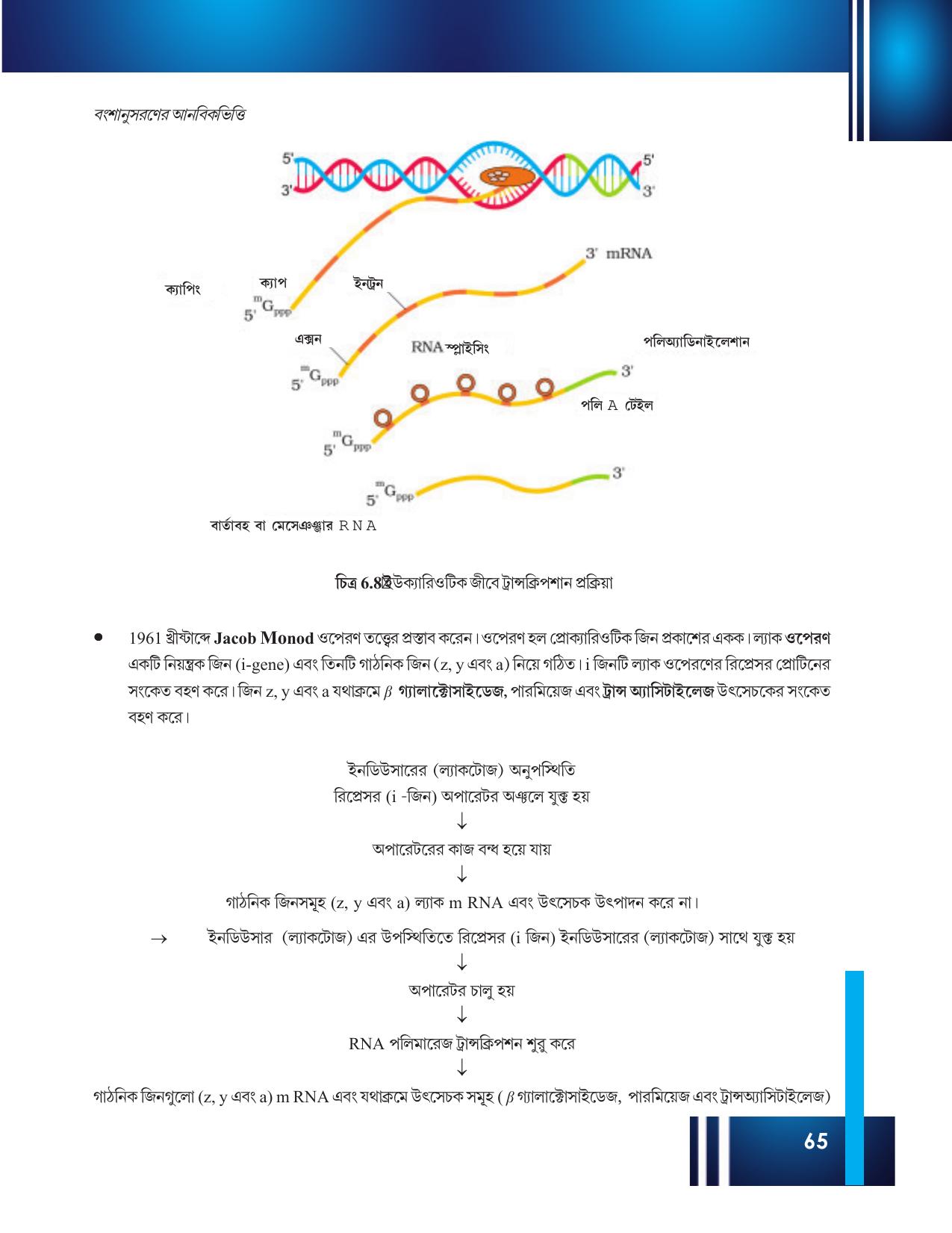 Tripura Board Class 12 Biology Bengali Workbooks - Page 71