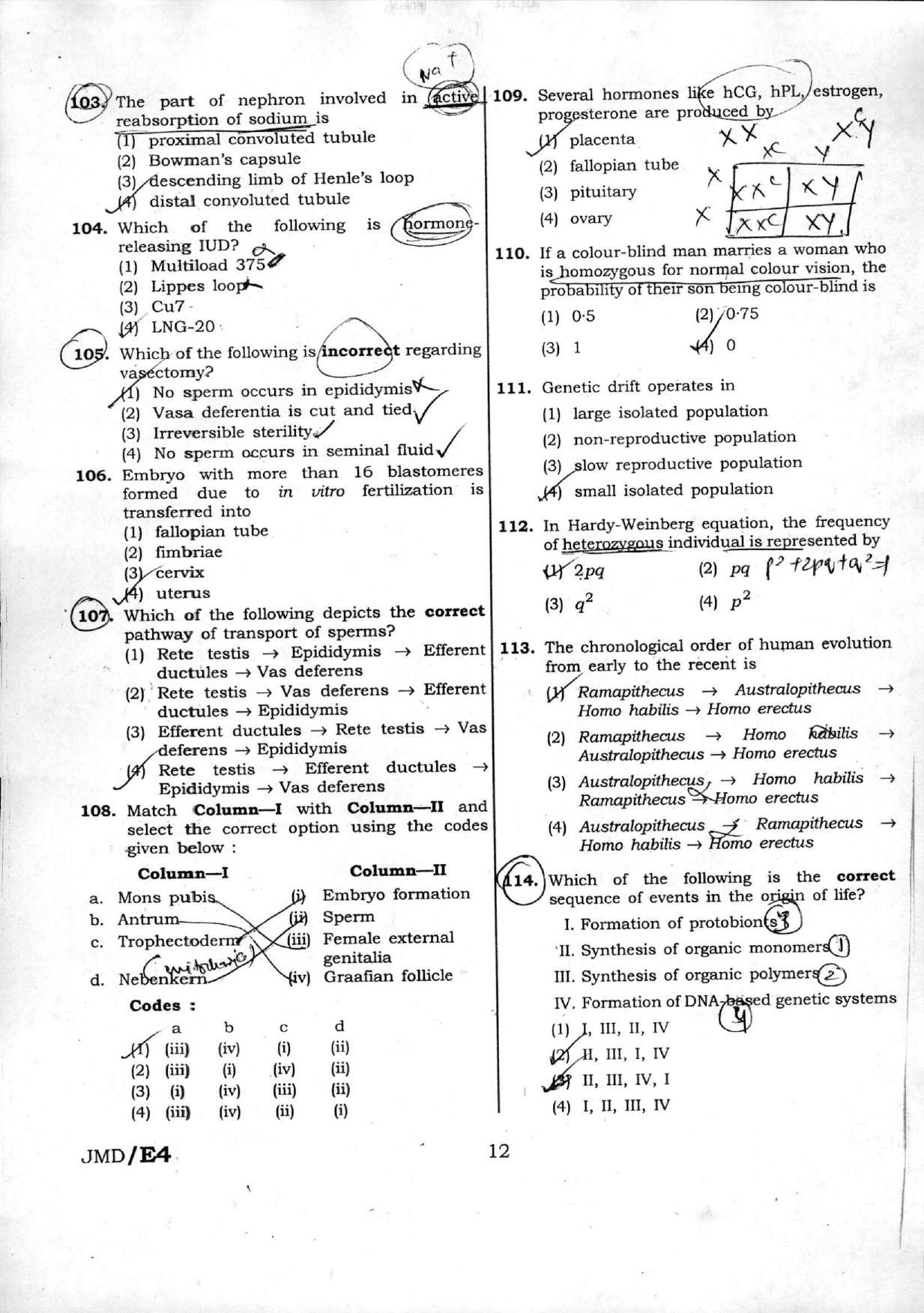 NEET Code ZZ 2016 Question Paper - Page 13