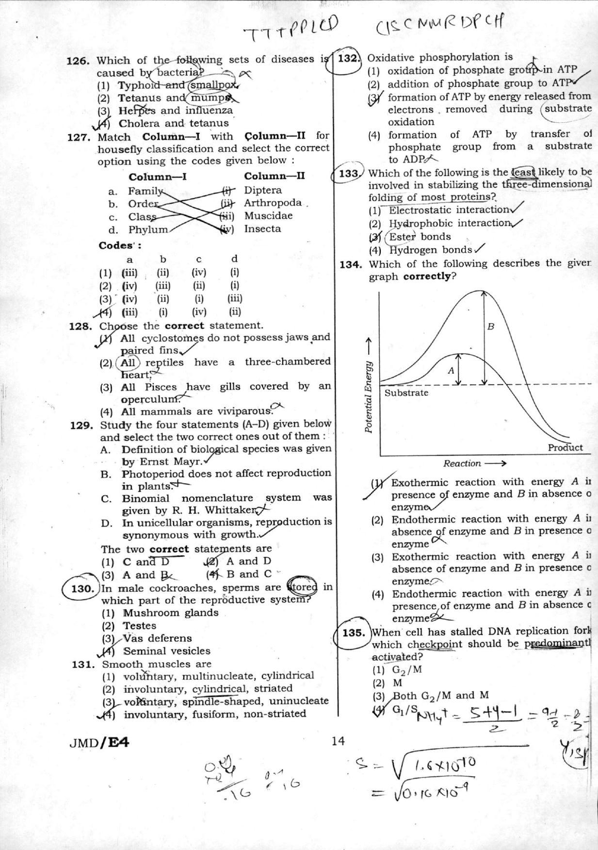 NEET Code ZZ 2016 Question Paper - Page 15