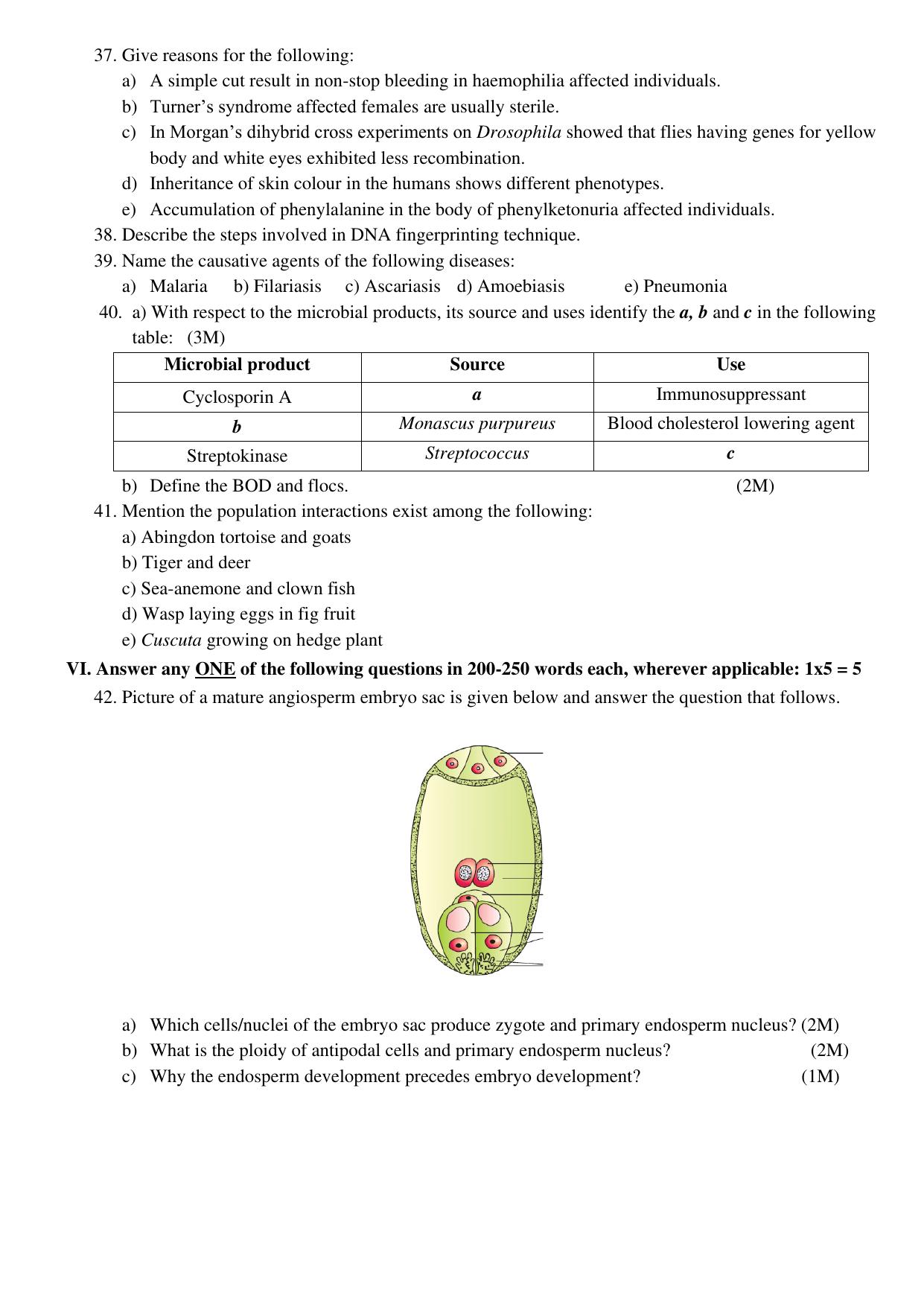 Karnataka II PUC Biology Model Question Paper II 2025 - Page 4