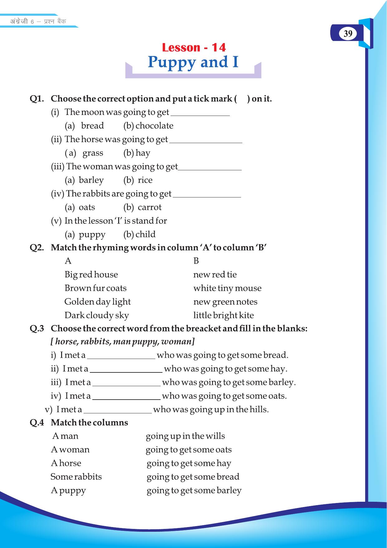 Chhattisgarh Board Class 6 English Question Bank - Page 41