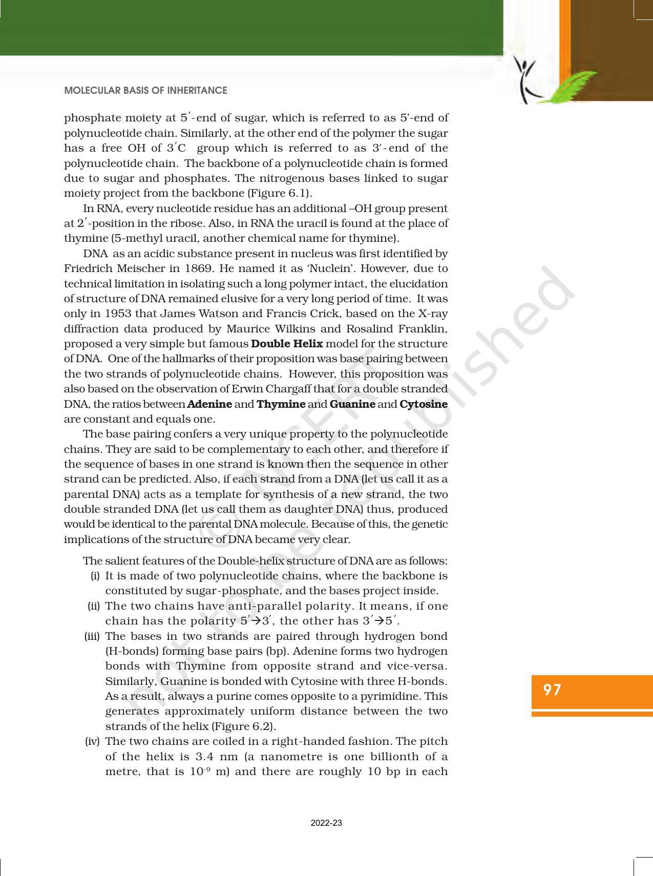 NCERT Book for Class 12 Biology Chapter 6 Molecular Basis of Inheritance - Page 3