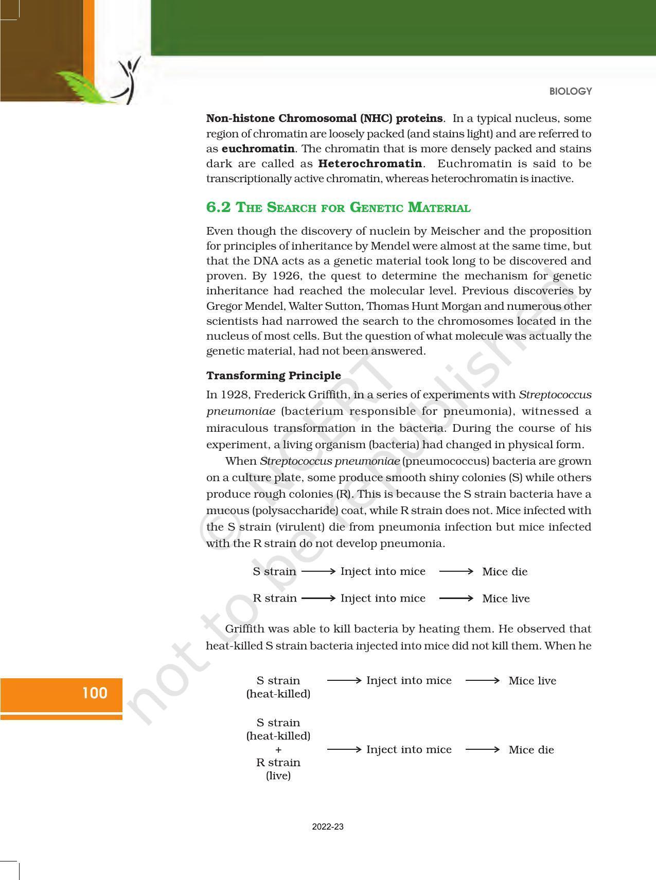 NCERT Book for Class 12 Biology Chapter 6 Molecular Basis of Inheritance - Page 6