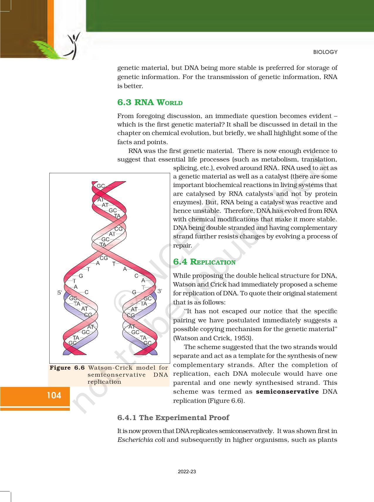 NCERT Book for Class 12 Biology Chapter 6 Molecular Basis of Inheritance - Page 10