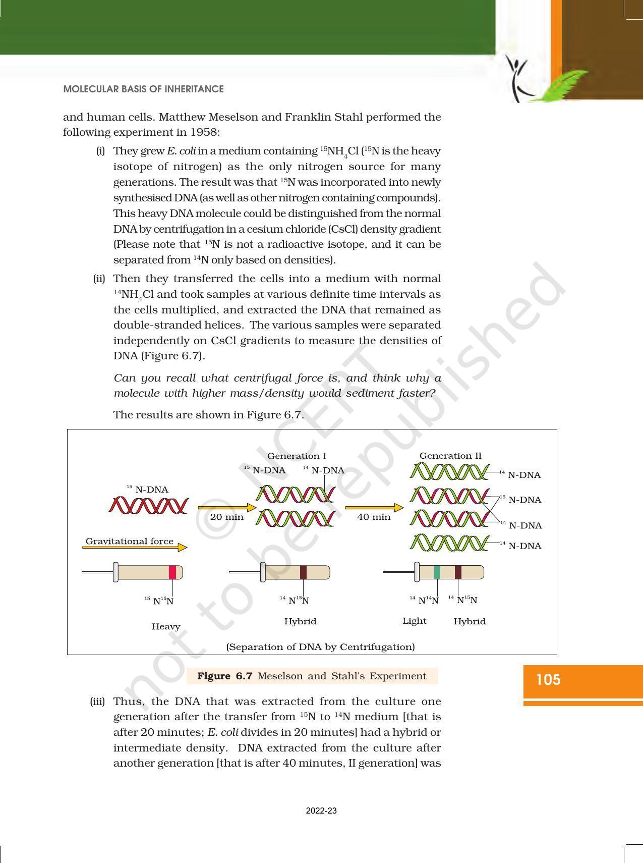 NCERT Book for Class 12 Biology Chapter 6 Molecular Basis of Inheritance - Page 11
