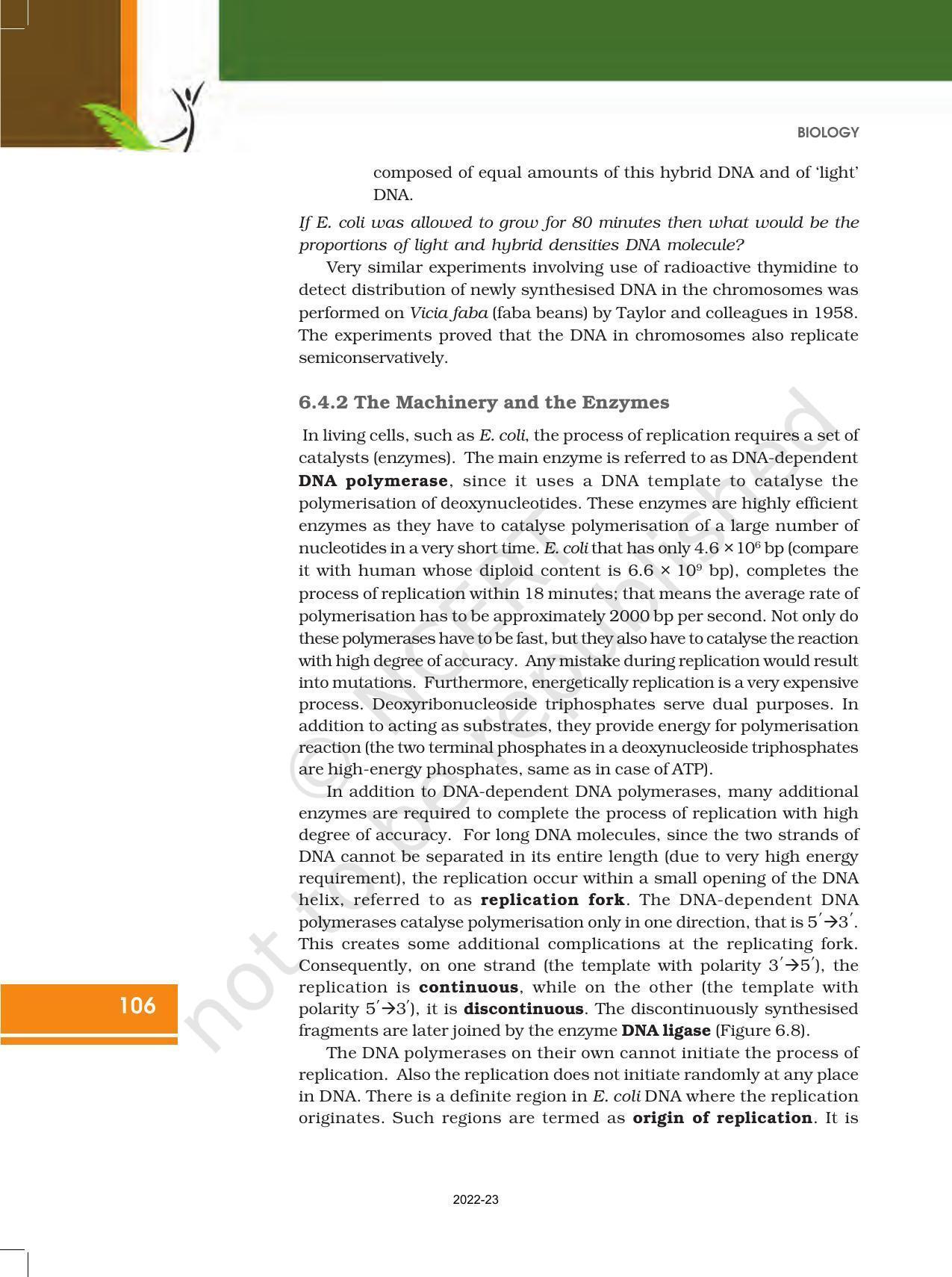 NCERT Book for Class 12 Biology Chapter 6 Molecular Basis of Inheritance - Page 12