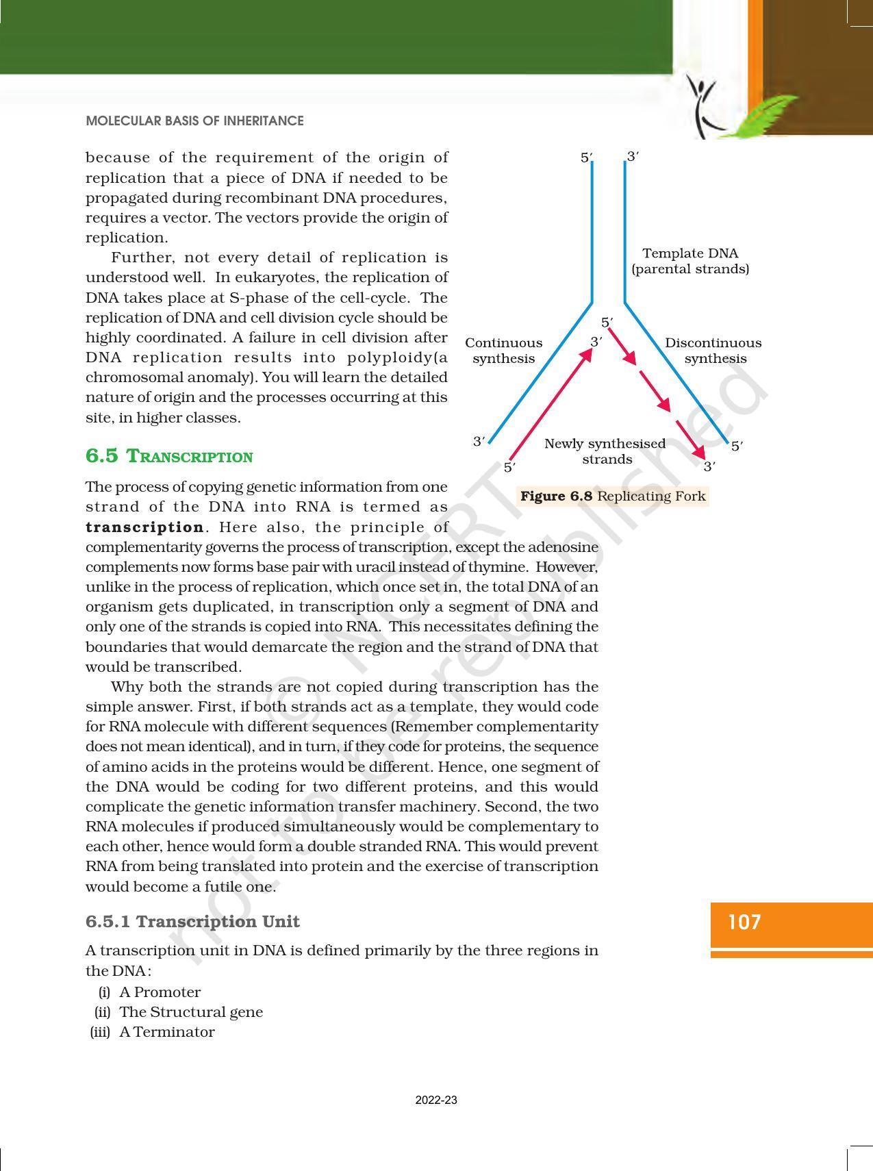NCERT Book for Class 12 Biology Chapter 6 Molecular Basis of Inheritance - Page 13