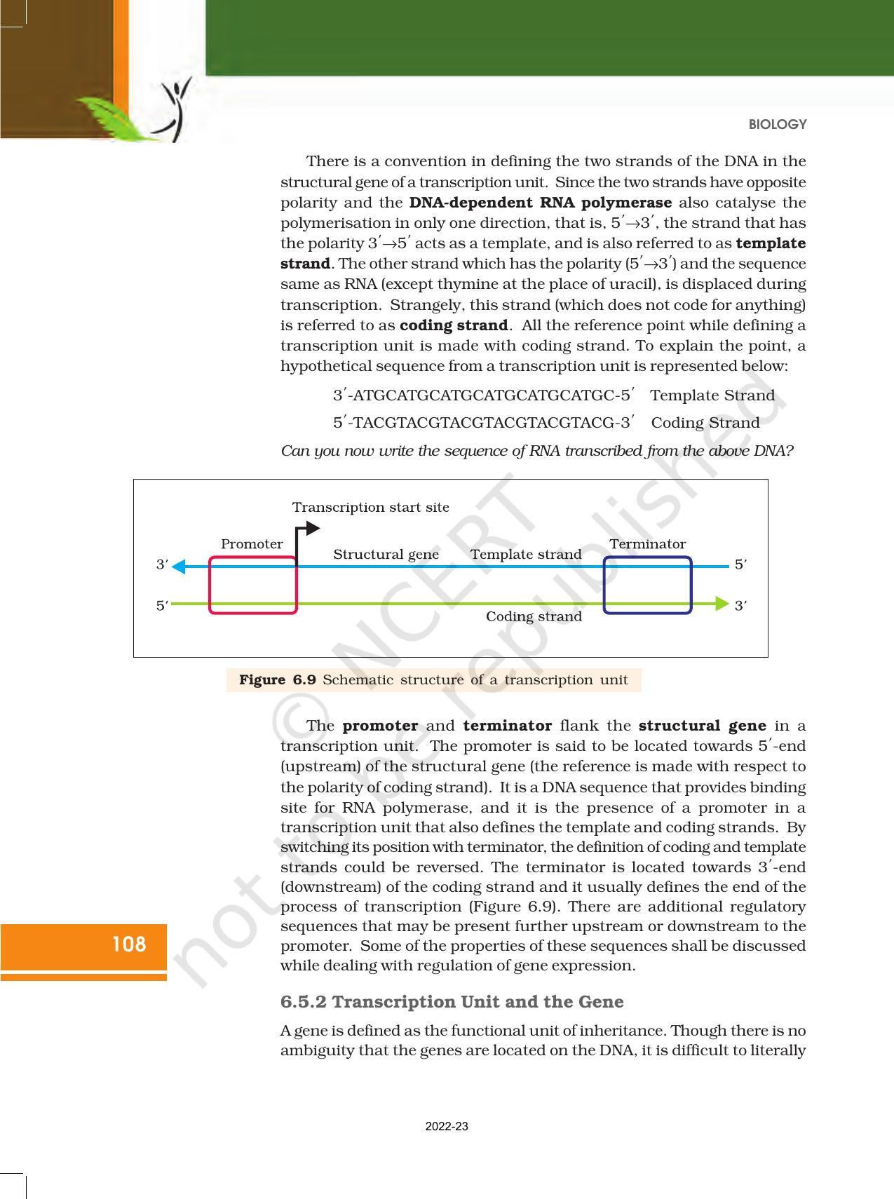 NCERT Book for Class 12 Biology Chapter 6 Molecular Basis of Inheritance - Page 14
