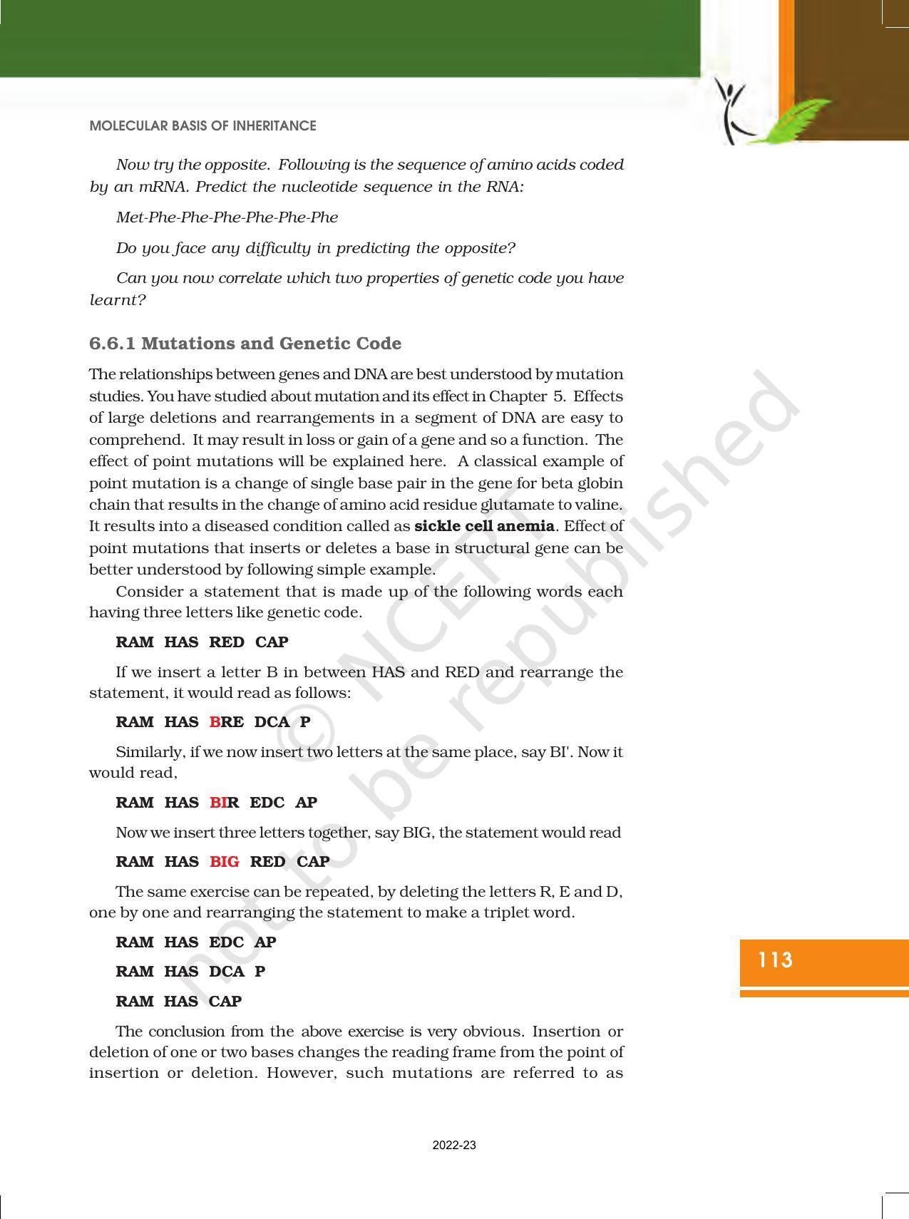 NCERT Book for Class 12 Biology Chapter 6 Molecular Basis of Inheritance - Page 19