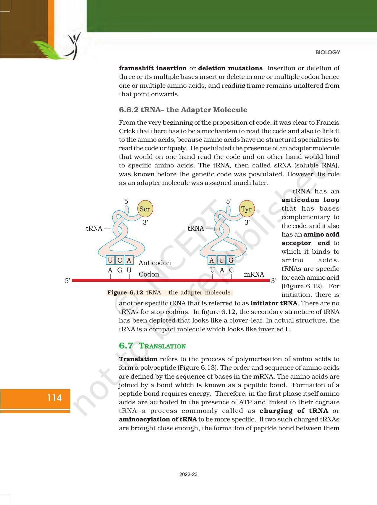 NCERT Book for Class 12 Biology Chapter 6 Molecular Basis of Inheritance - Page 20