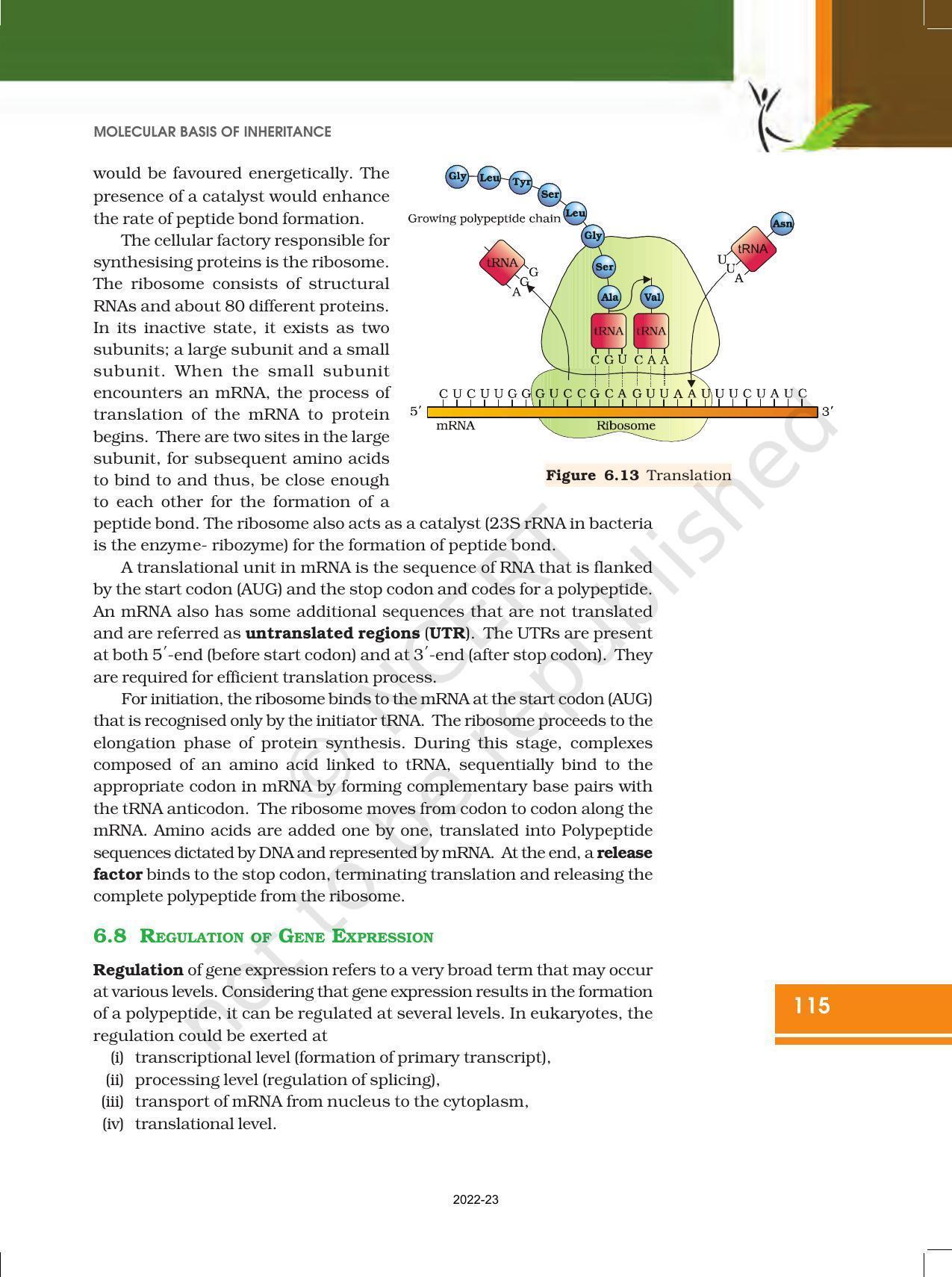 NCERT Book for Class 12 Biology Chapter 6 Molecular Basis of Inheritance - Page 21