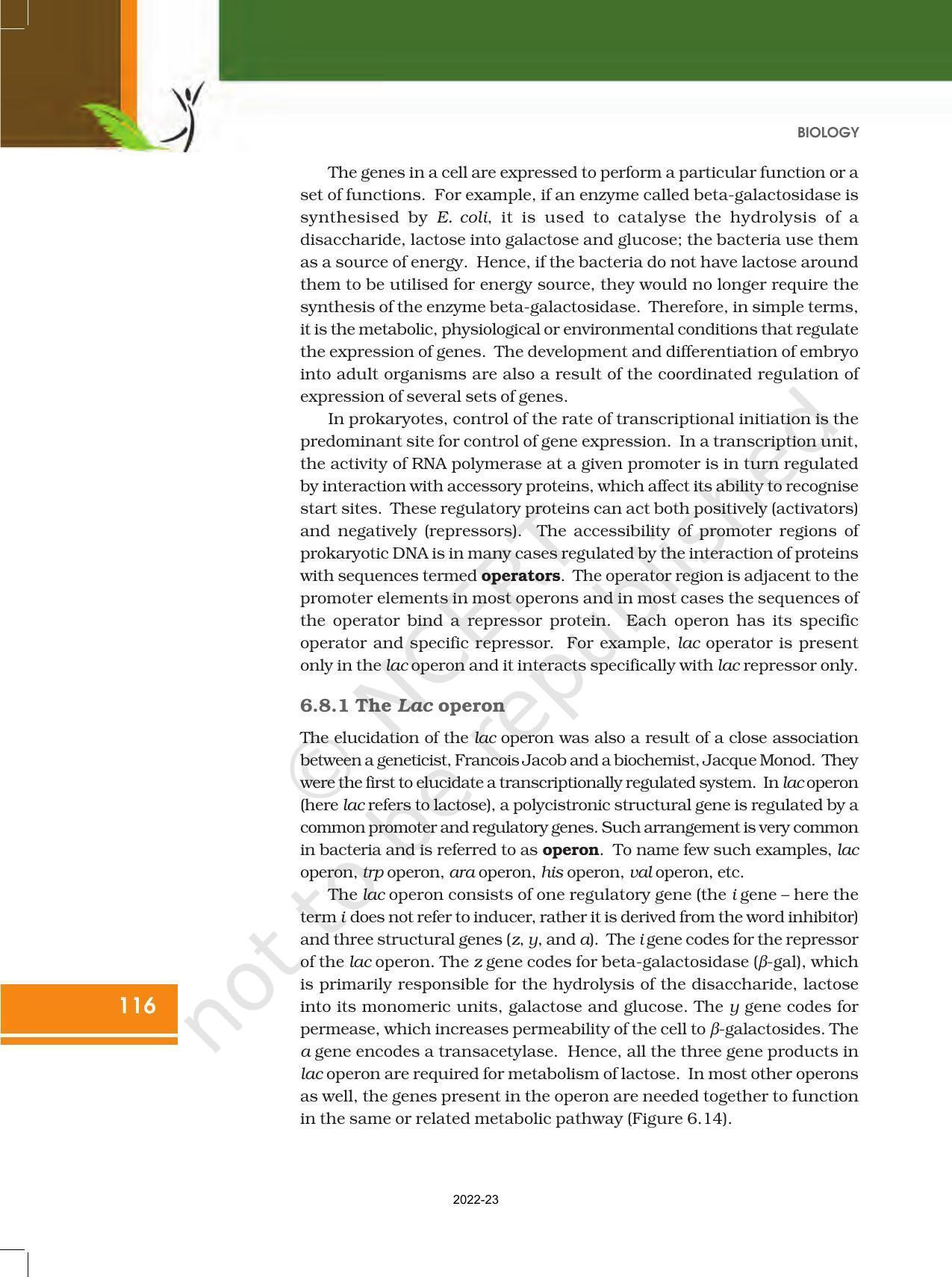 NCERT Book for Class 12 Biology Chapter 6 Molecular Basis of Inheritance - Page 22
