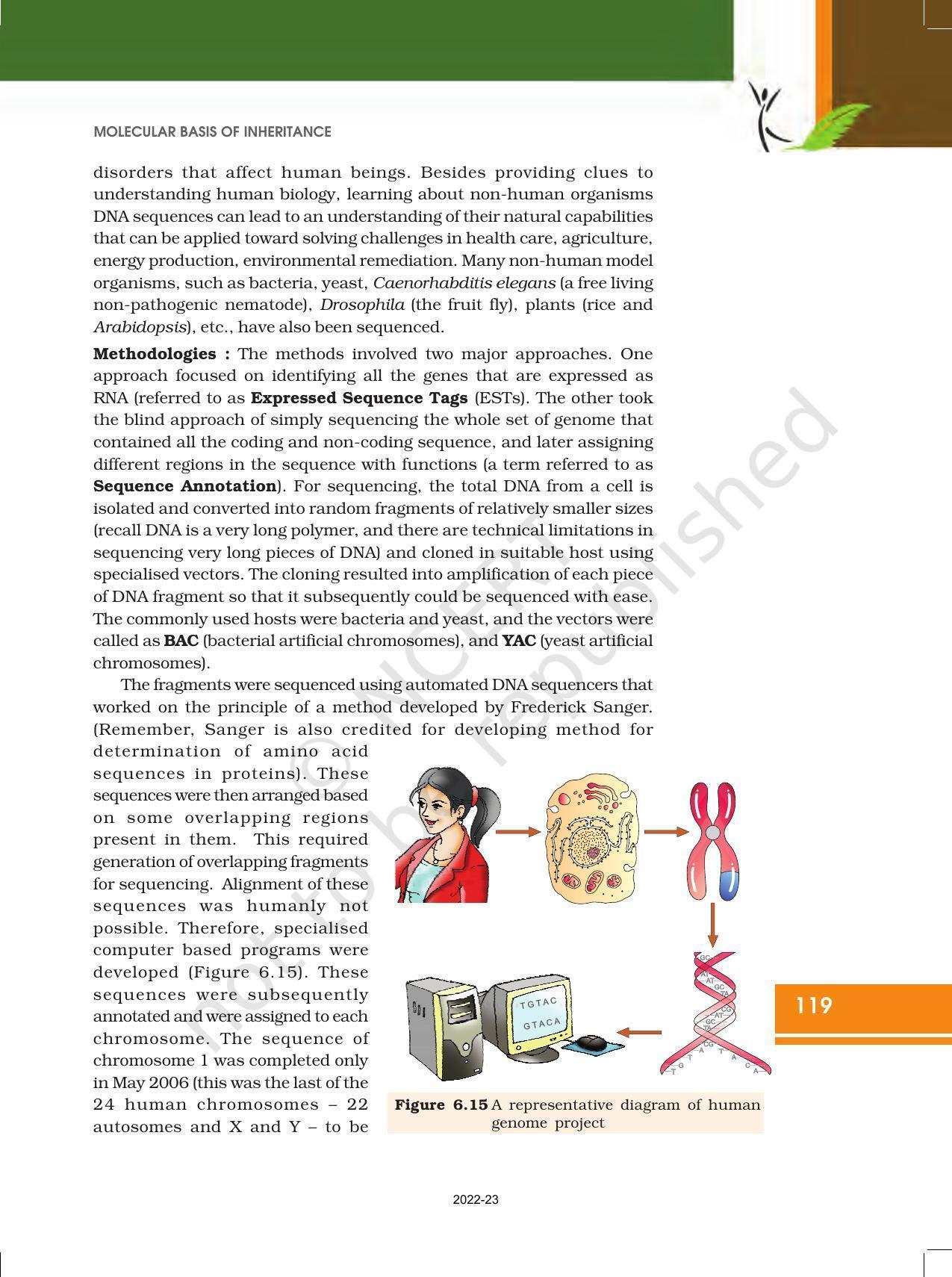 NCERT Book for Class 12 Biology Chapter 6 Molecular Basis of Inheritance - Page 25
