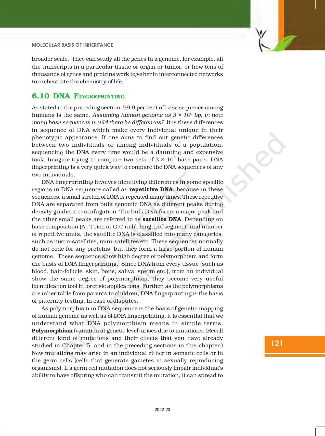 NCERT Book for Class 12 Biology Chapter 6 Molecular Basis of Inheritance - Page 27