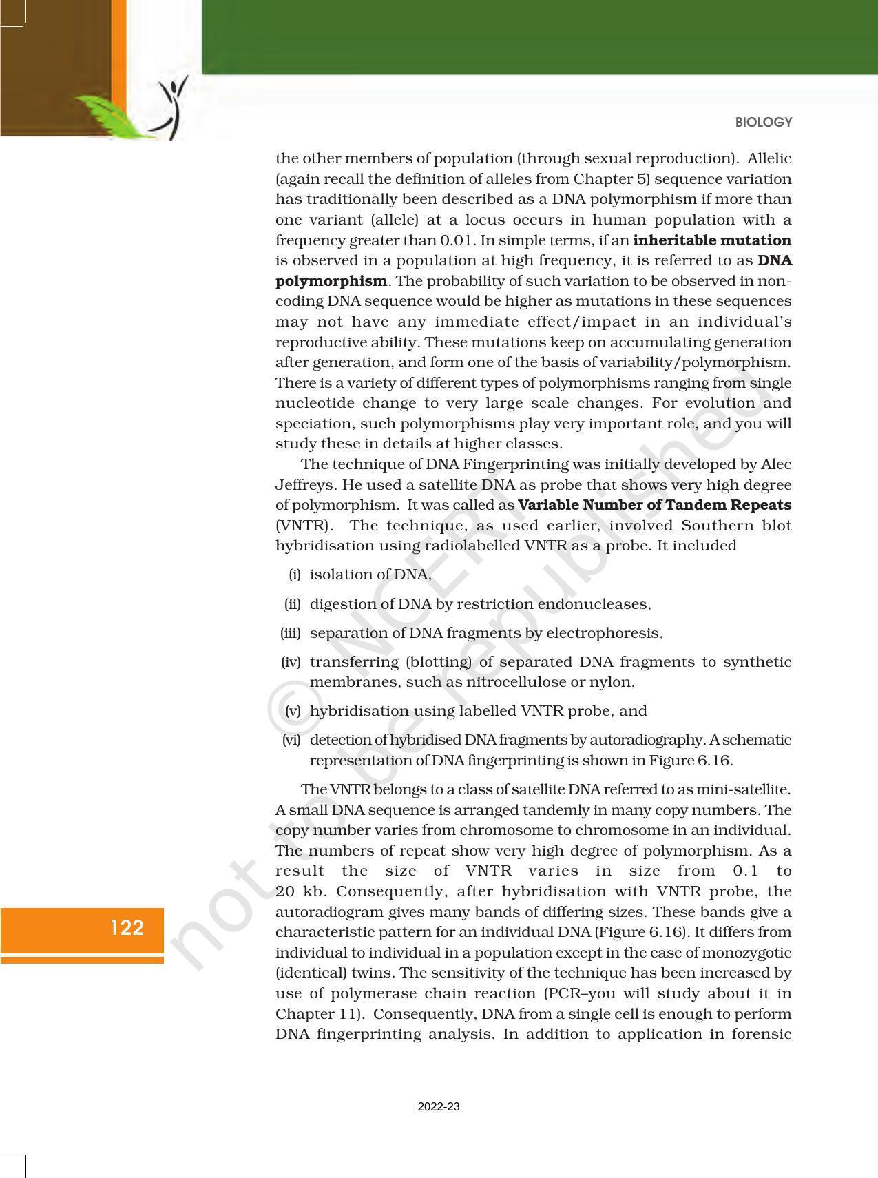 NCERT Book for Class 12 Biology Chapter 6 Molecular Basis of Inheritance - Page 28