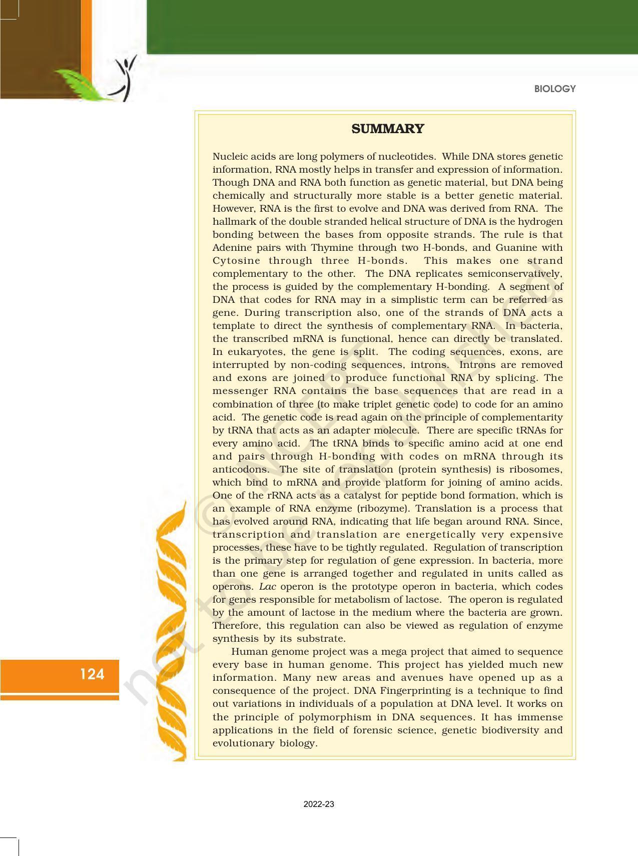 NCERT Book for Class 12 Biology Chapter 6 Molecular Basis of Inheritance - Page 30