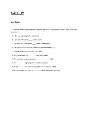 CBSE Worksheets for Class 6 English Singular Plural Assignment