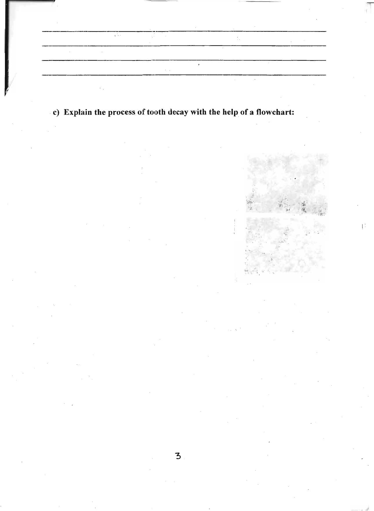 Worksheet for Class 4 Environmental Studies Assignment 15 - Page 3