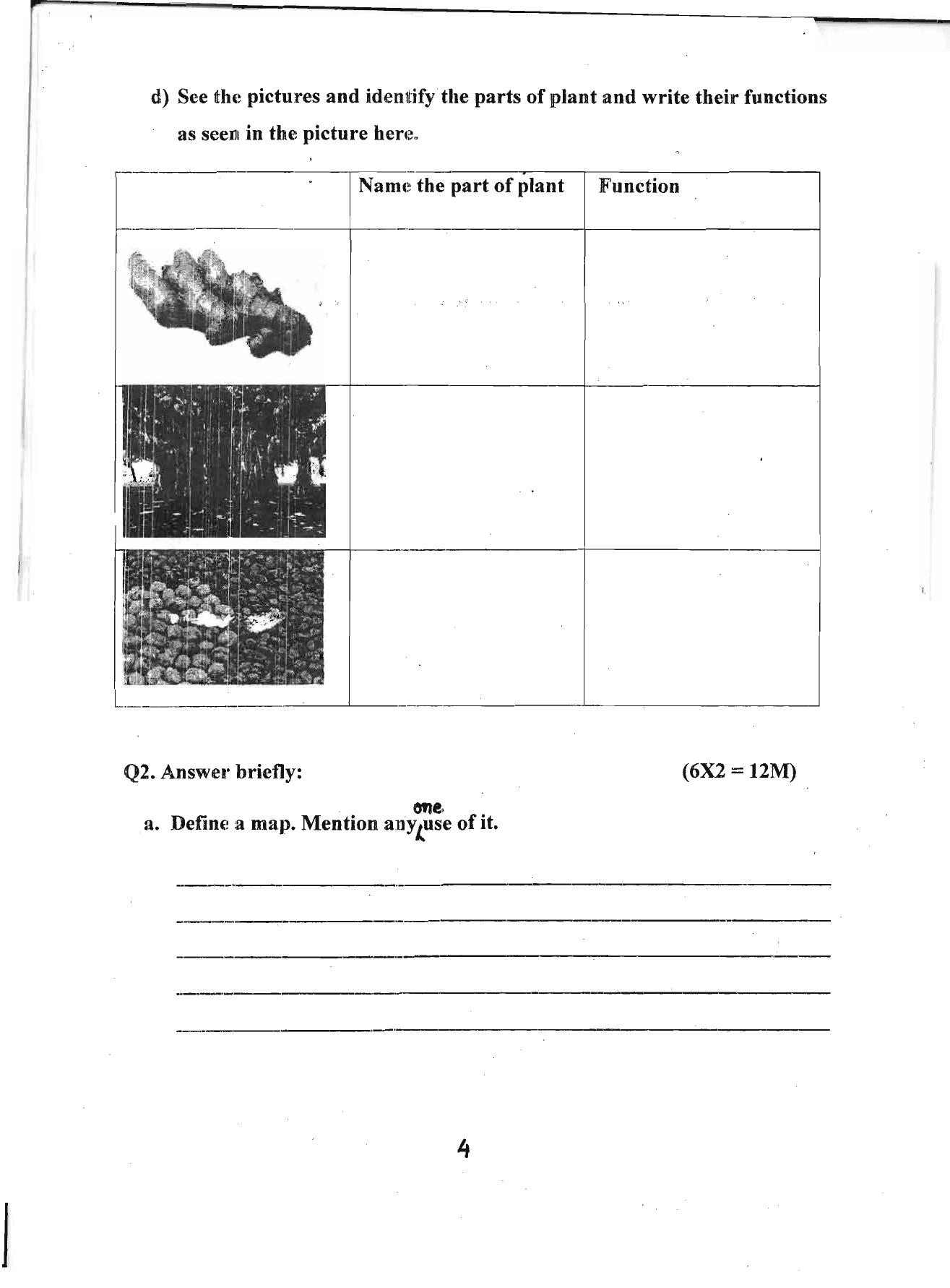 Worksheet for Class 4 Environmental Studies Assignment 15 - Page 4