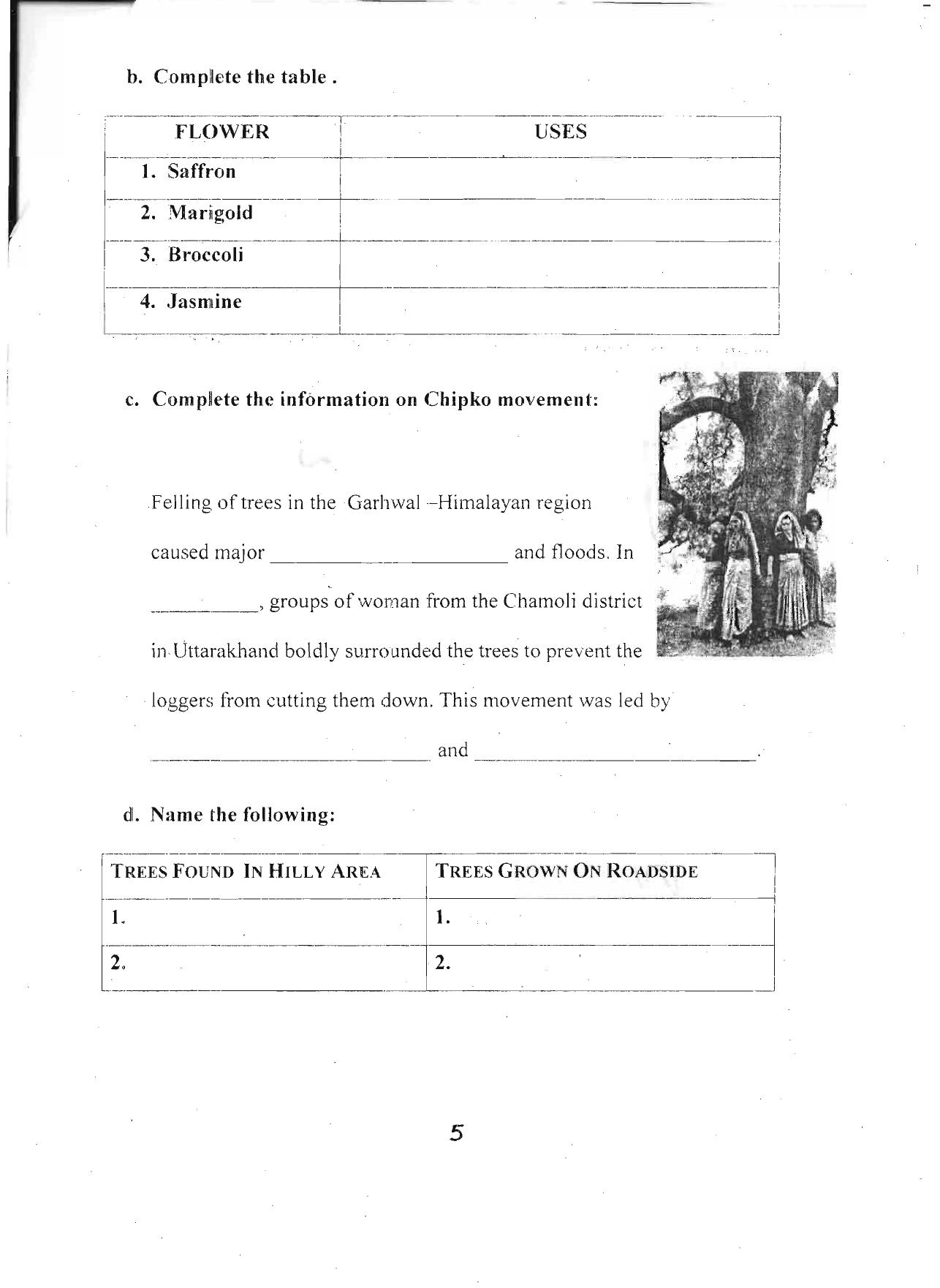 Worksheet for Class 4 Environmental Studies Assignment 15 - Page 5