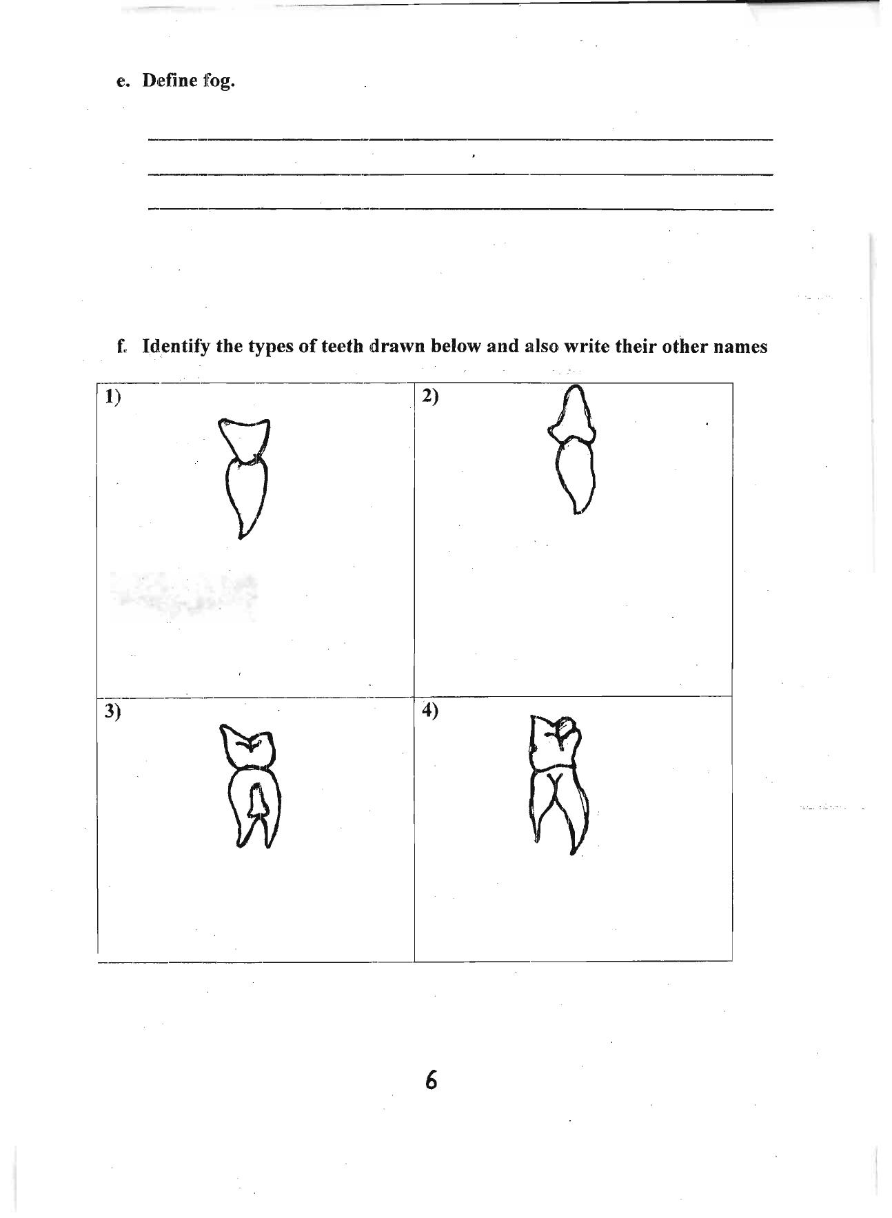Worksheet for Class 4 Environmental Studies Assignment 15 - Page 6