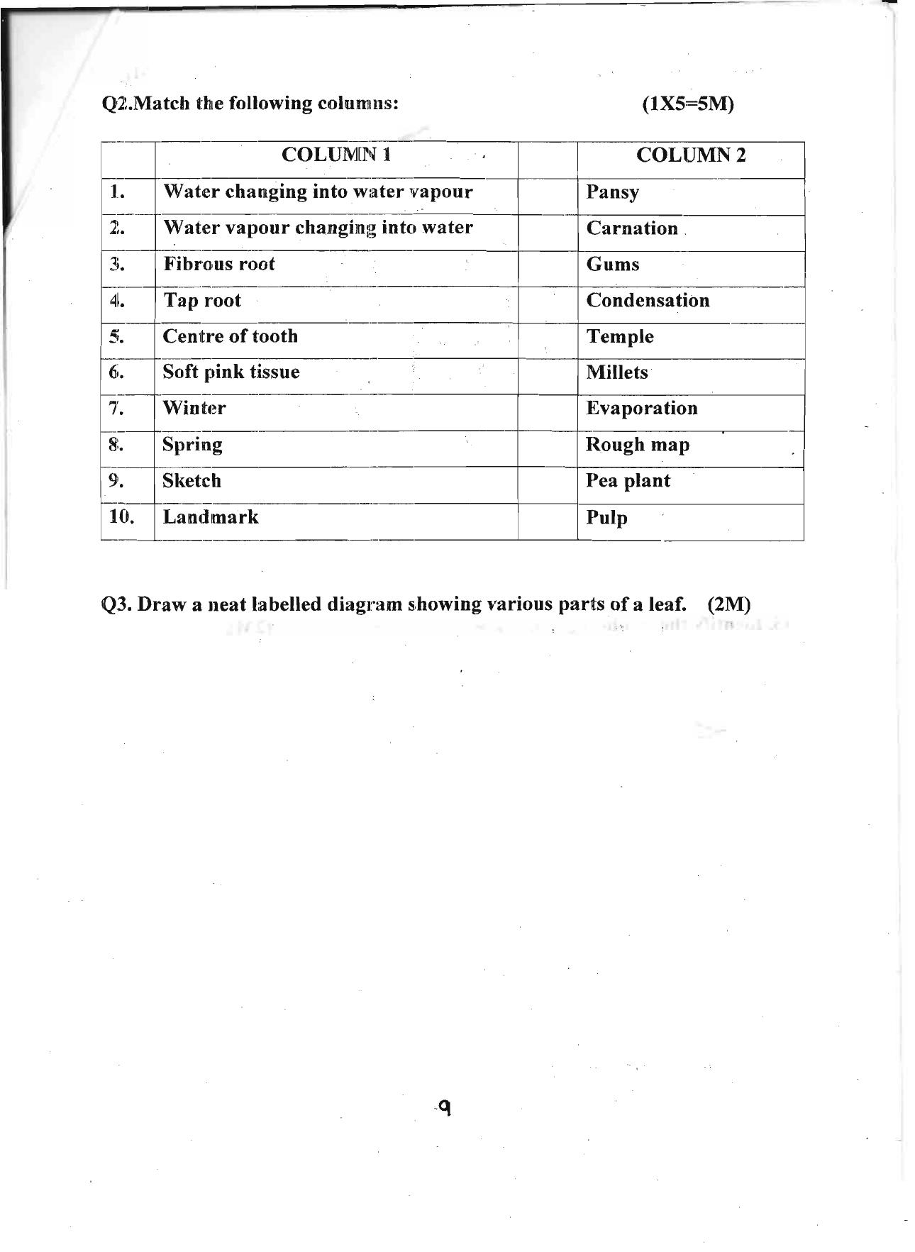 Worksheet for Class 4 Environmental Studies Assignment 15 - Page 9