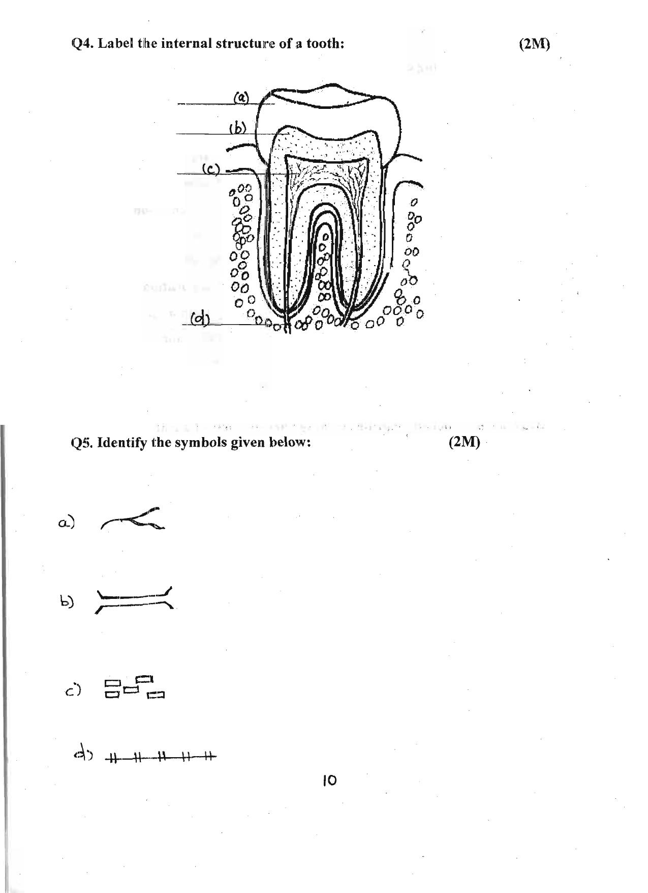 Worksheet for Class 4 Environmental Studies Assignment 15 - Page 10