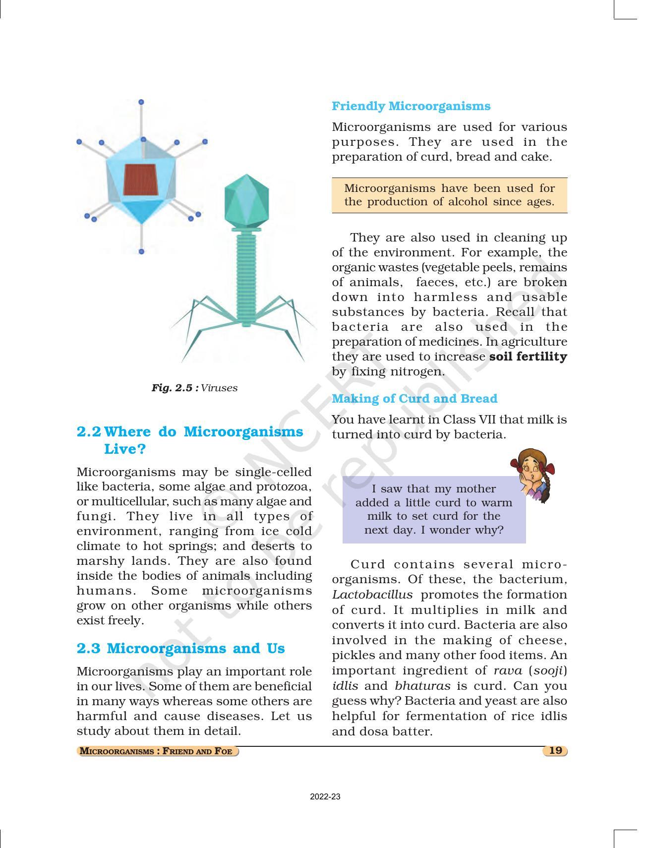 NCERT Book for Class 8 Science Chapter 2 Microorganisms: Friend and Foe - Page 3
